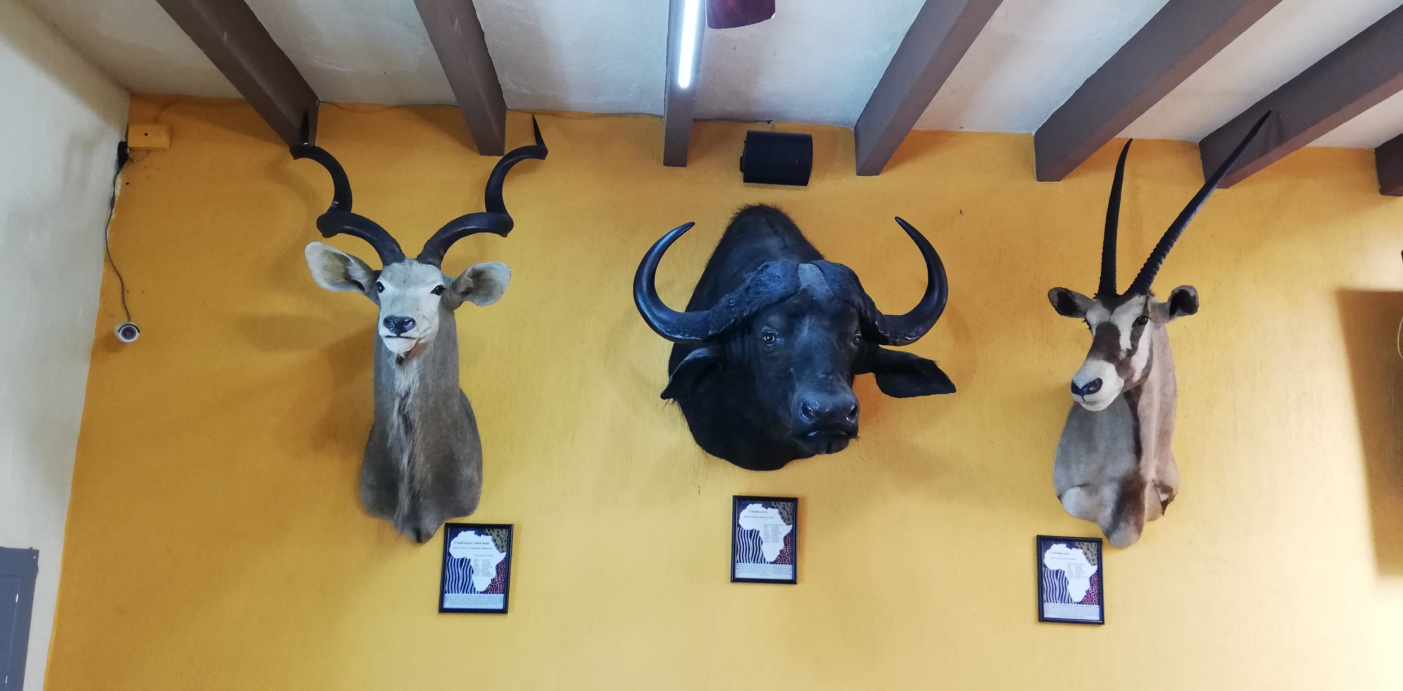 Restaurant Mary Cristy image 4