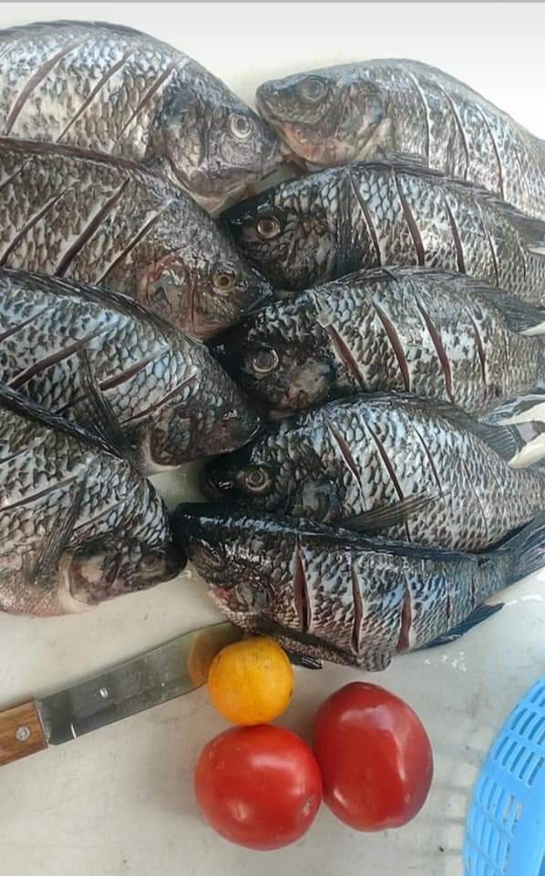 Mary'scos Cupíl image 10