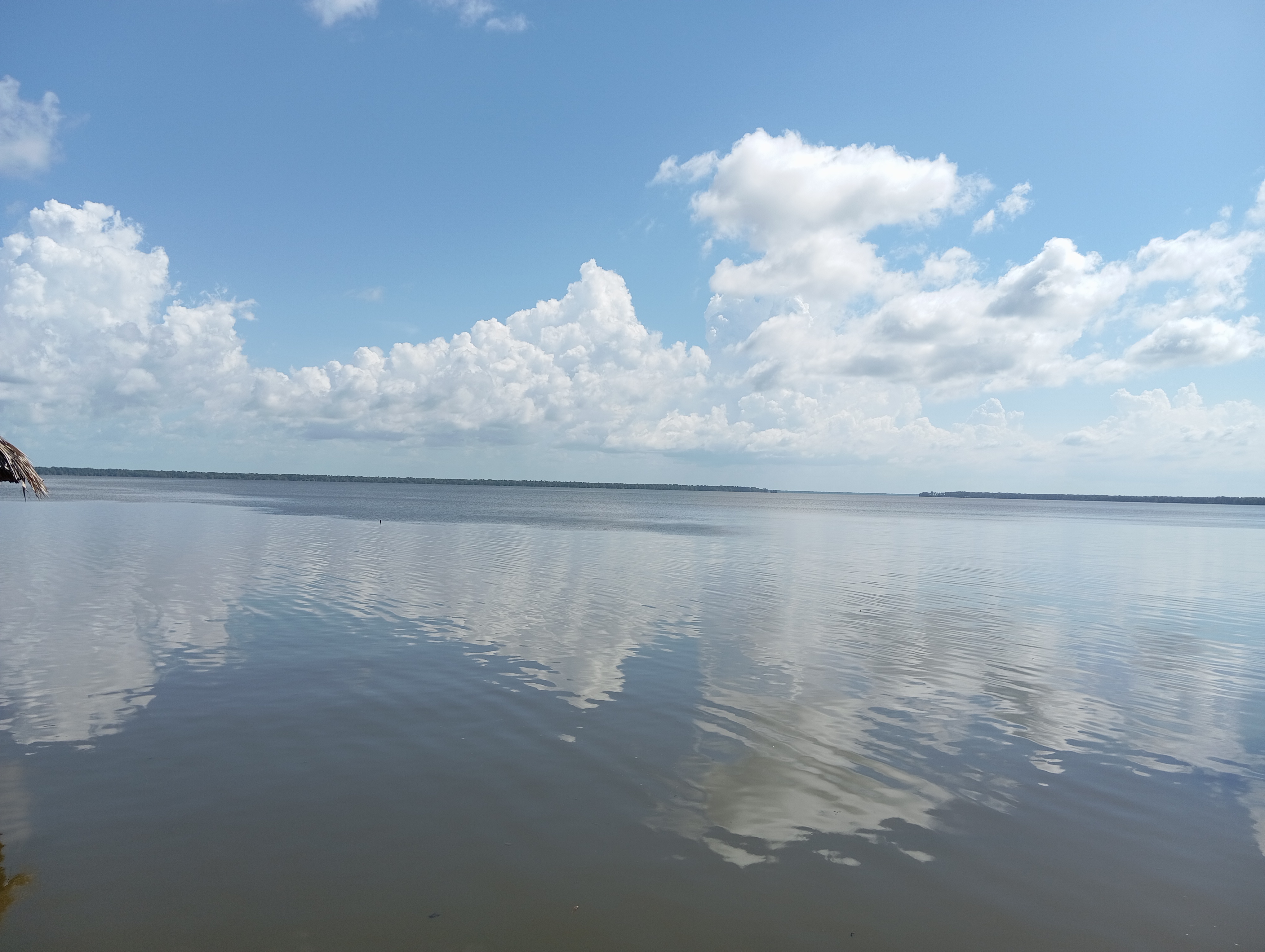 Restaurante Mangle image 4