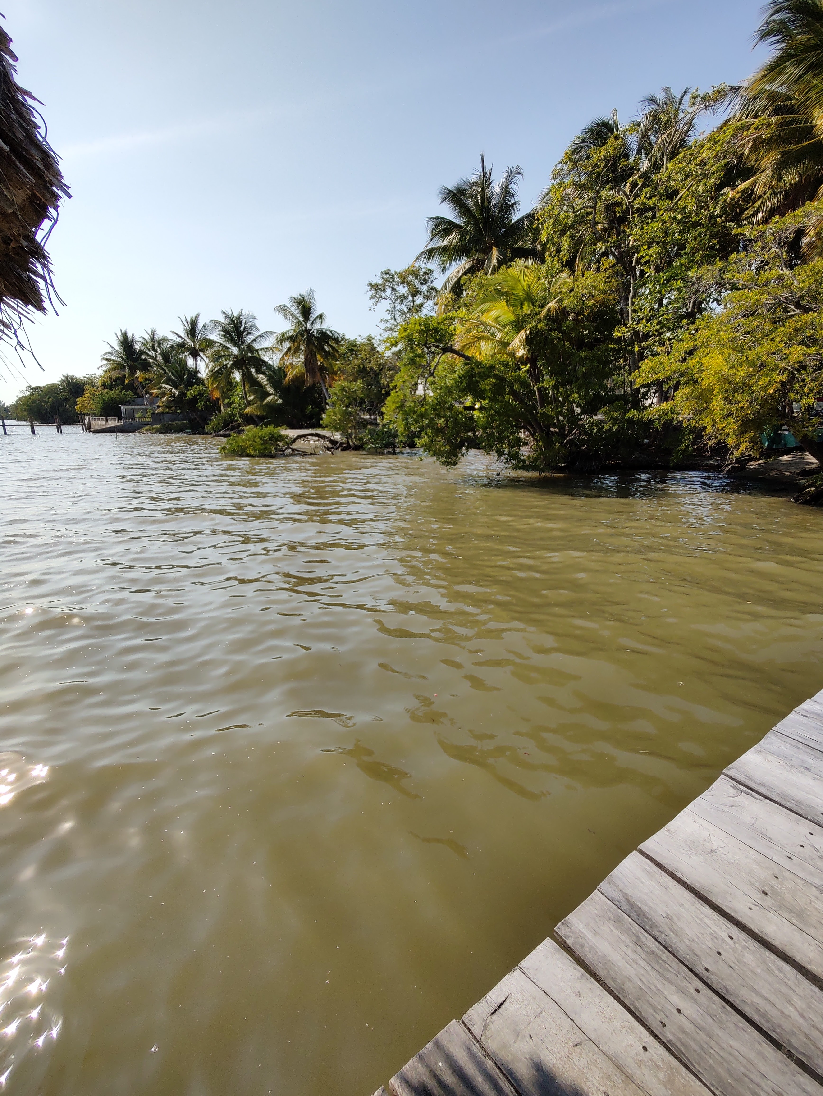 Restaurante Mangle image 6