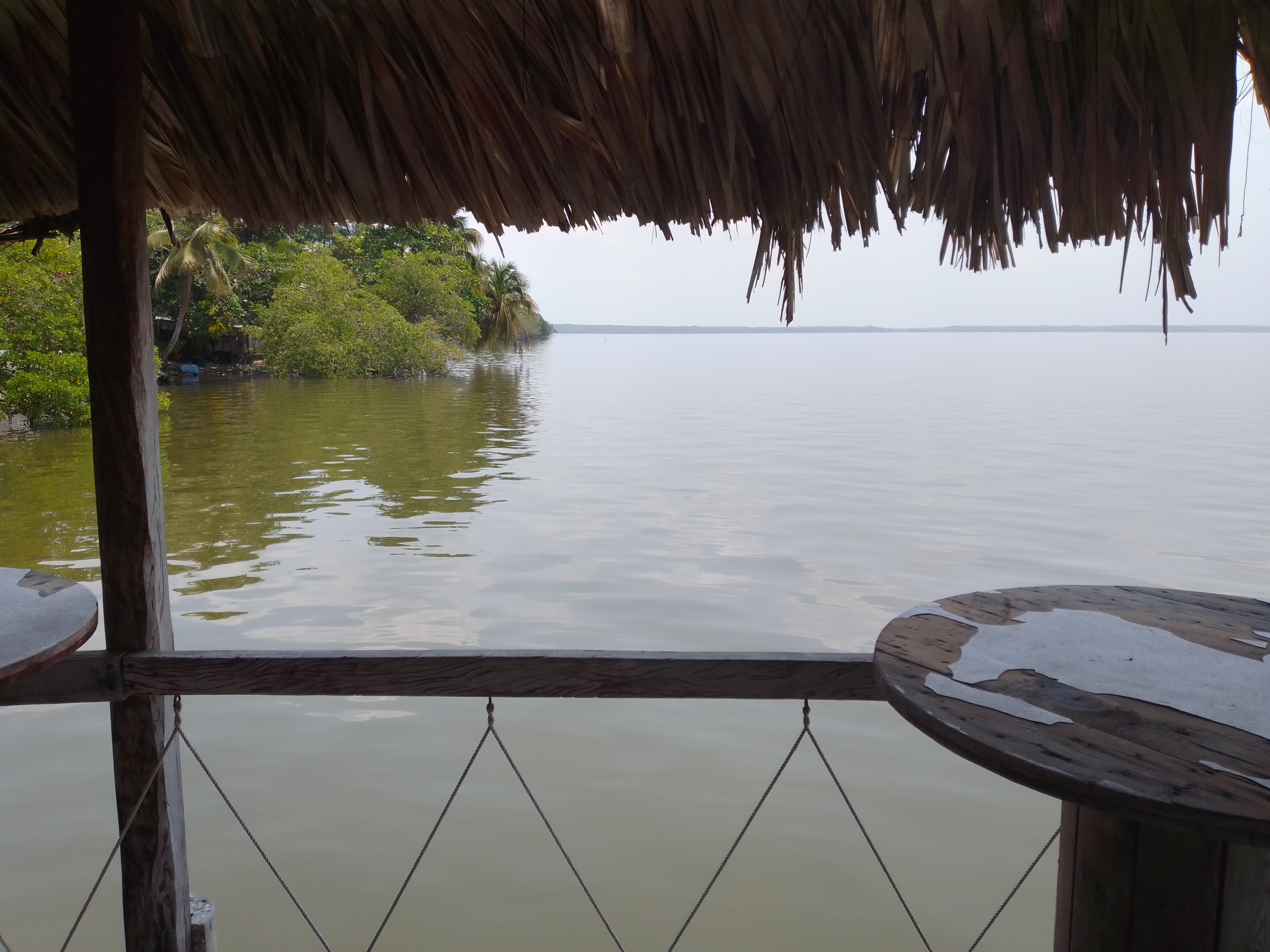 Restaurante Mangle image 7