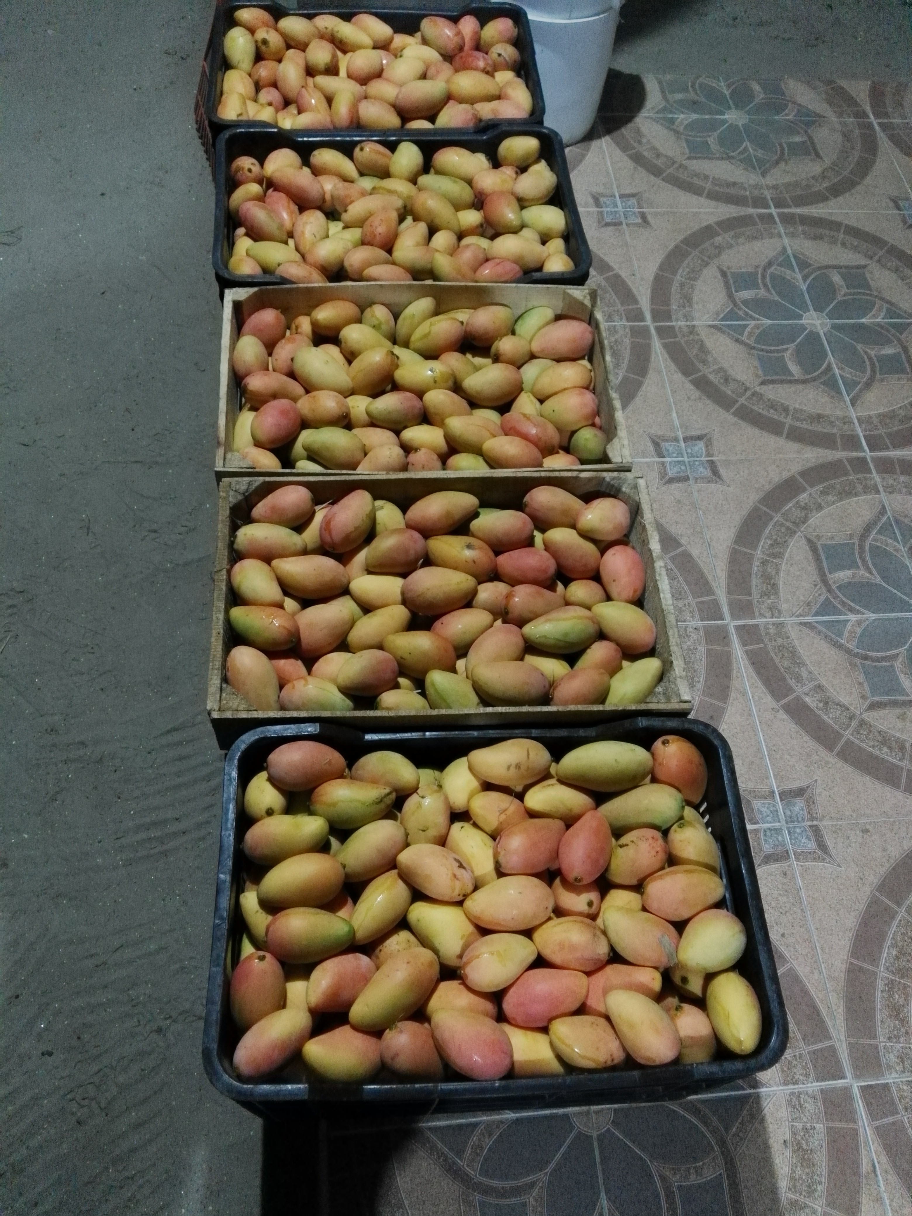 Restaurant La Jaivera image 9