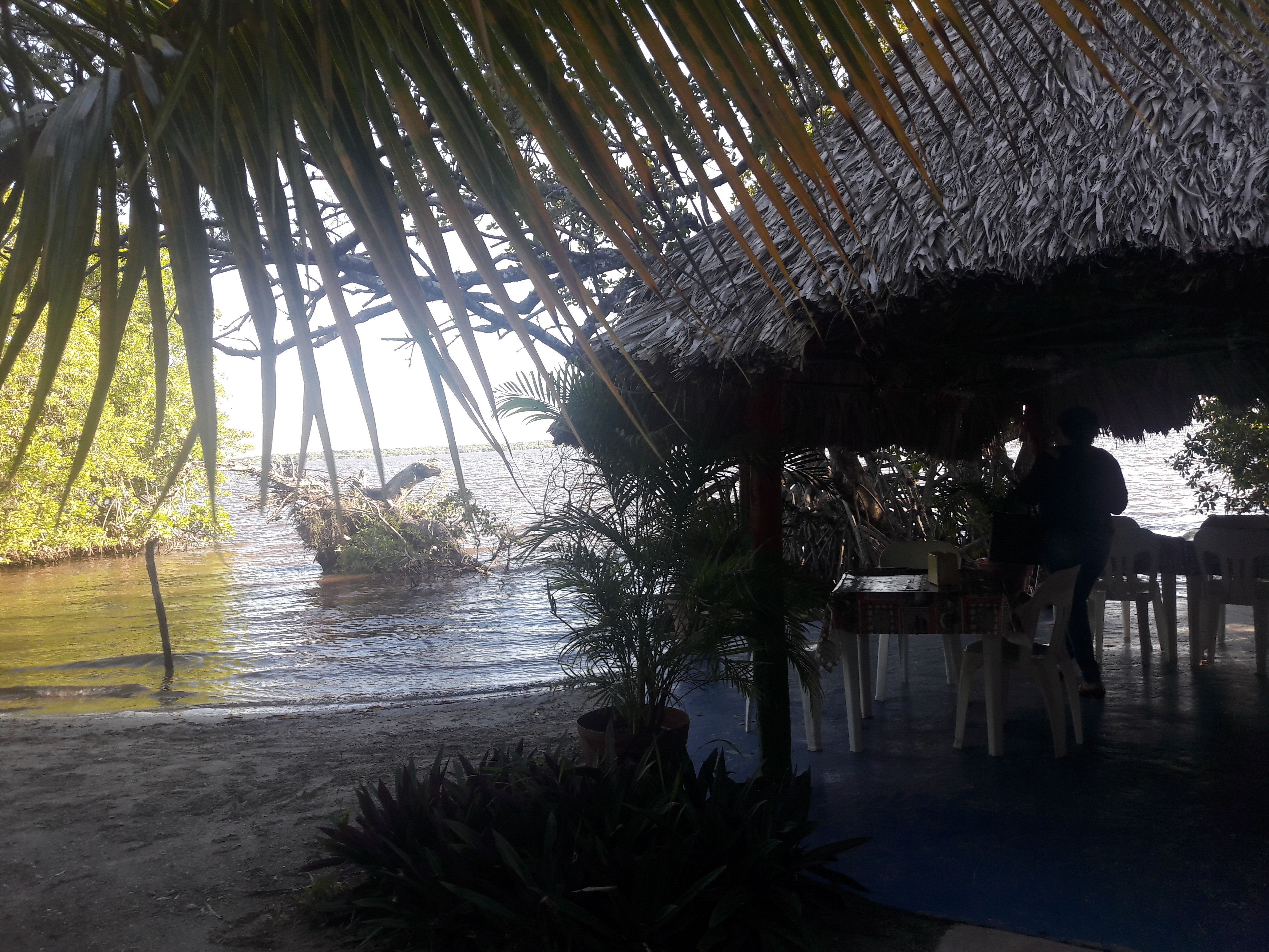 Panucheria y Cockteleria El Chaparro image 8