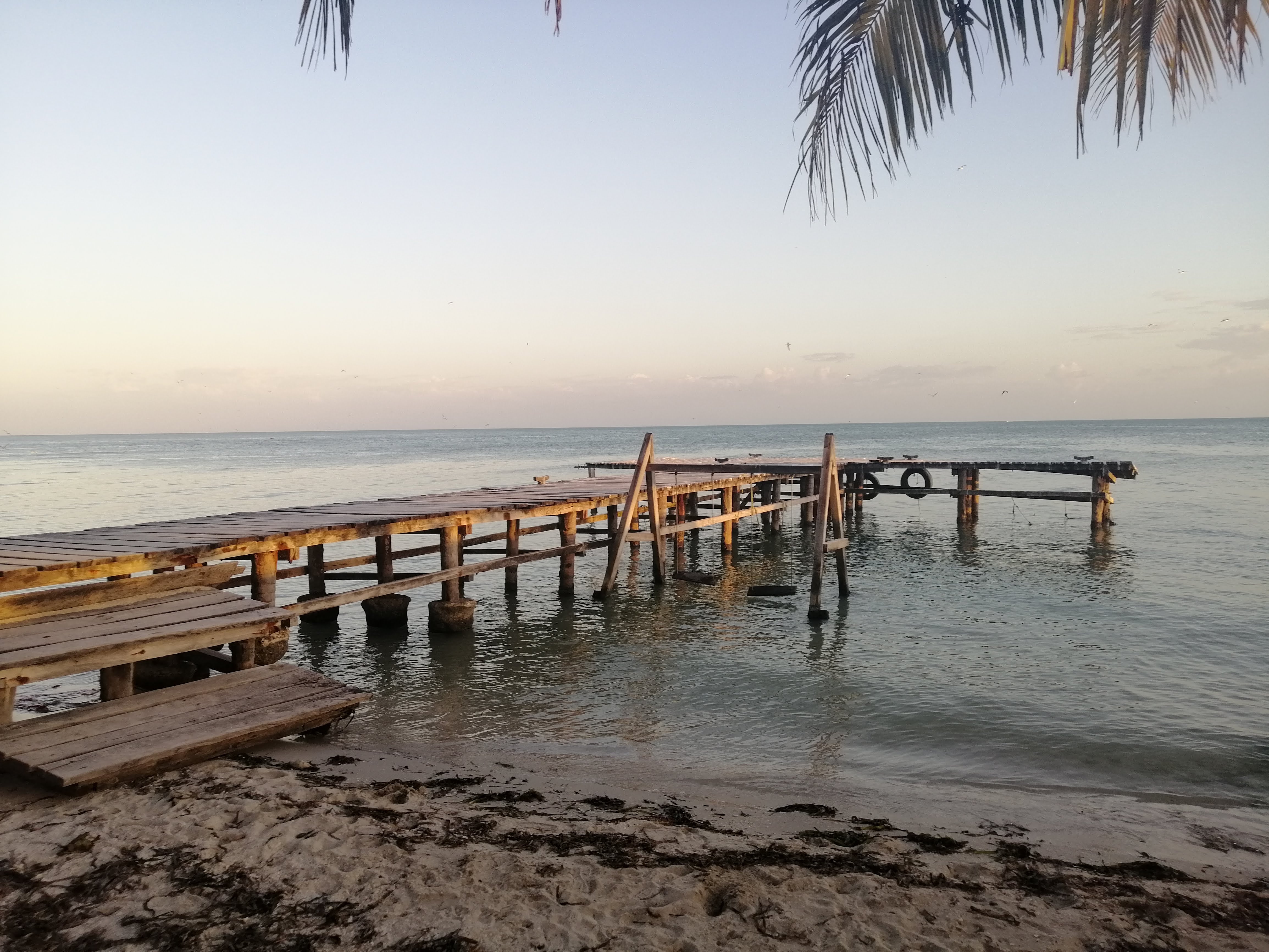Restaurante El Grillo Marino image 8