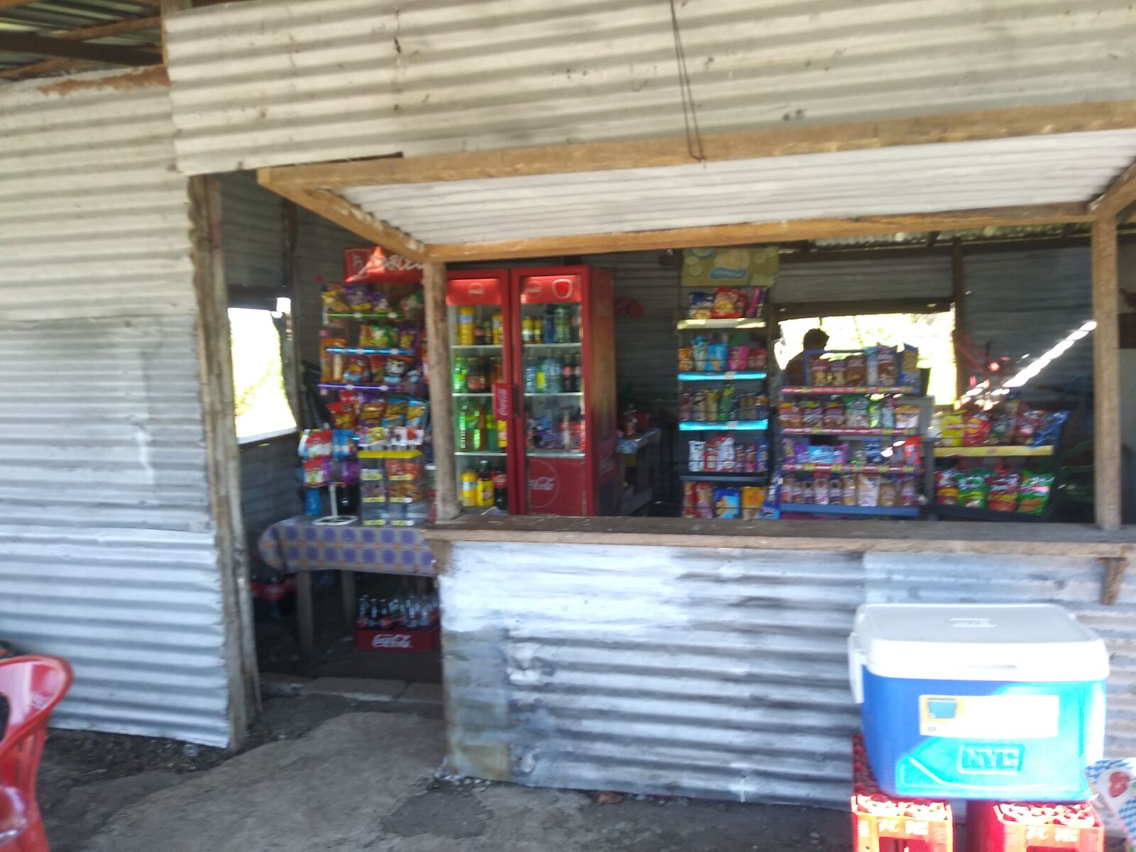 La vaquita image 1
