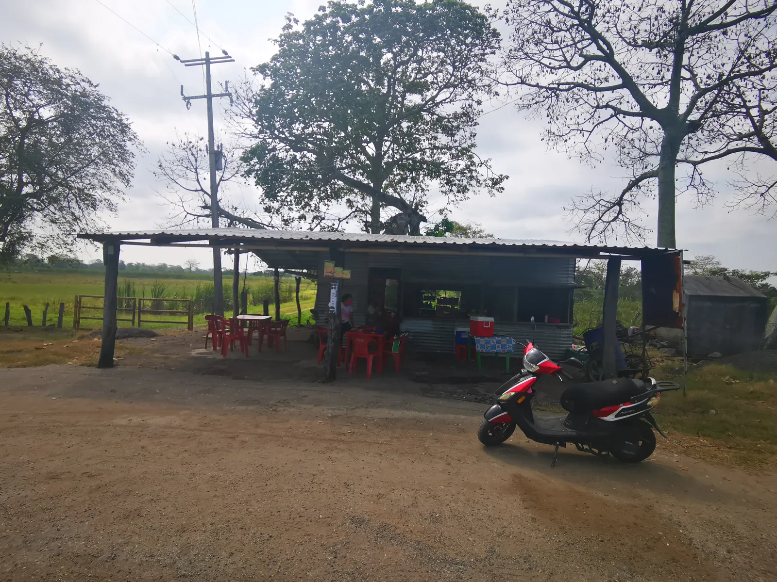 La vaquita image 2