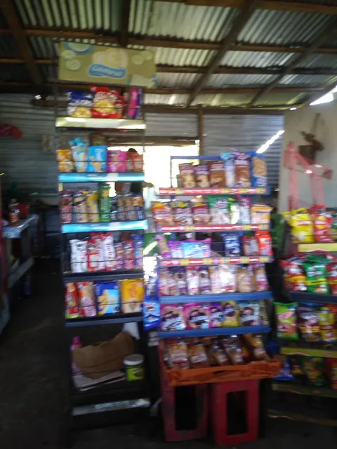 La vaquita image 8