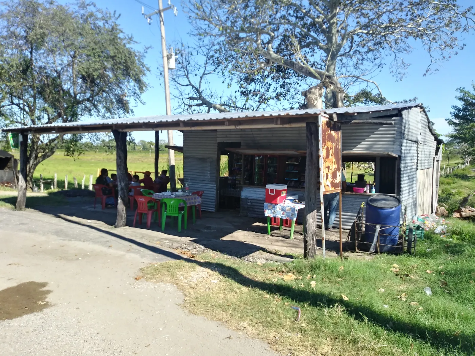 La vaquita image 9