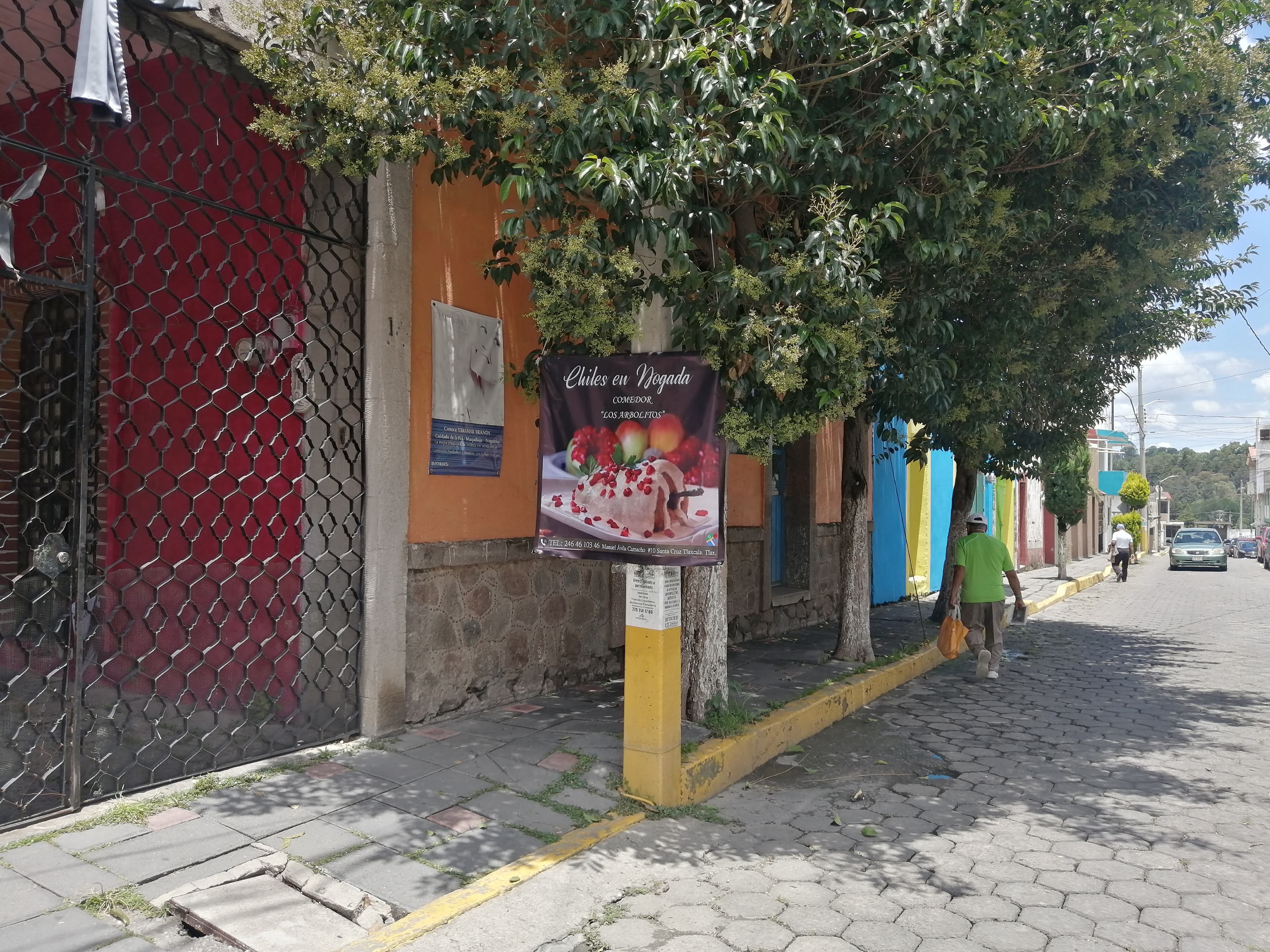 Los Arbolitos image 4