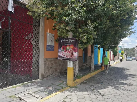 Los Arbolitos image 4