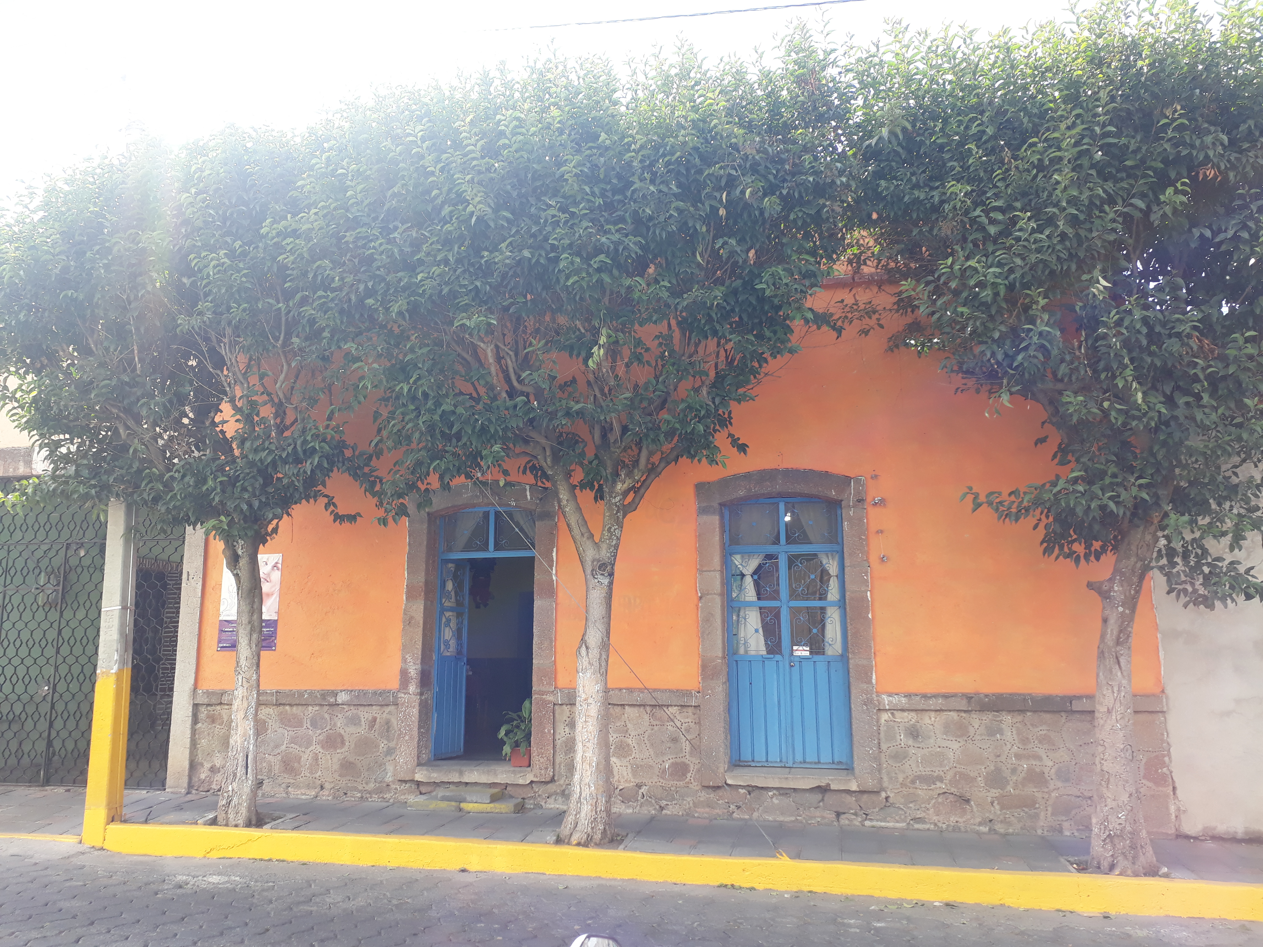 Los Arbolitos image 7