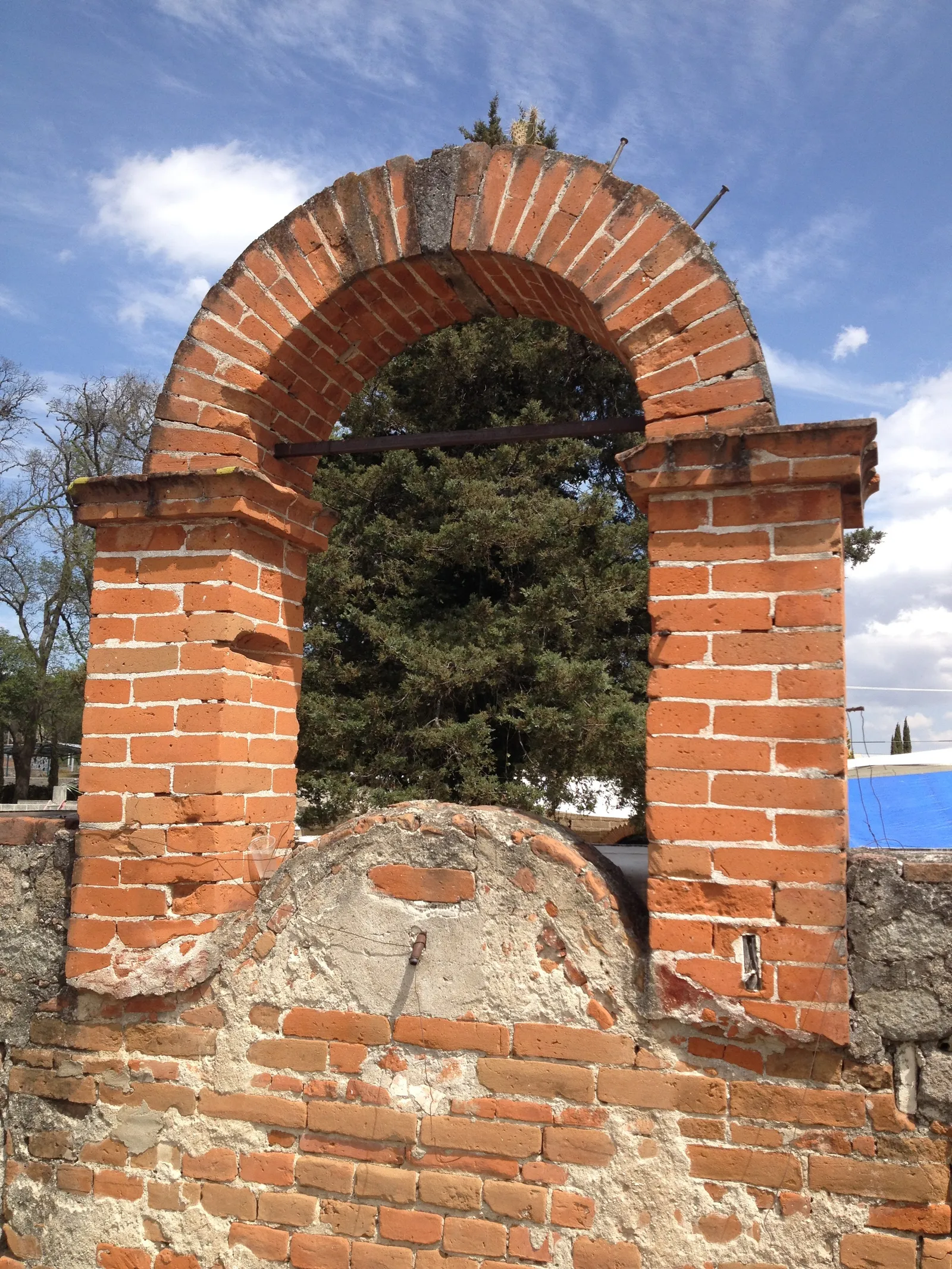 Hacienda Santa Elena image 4