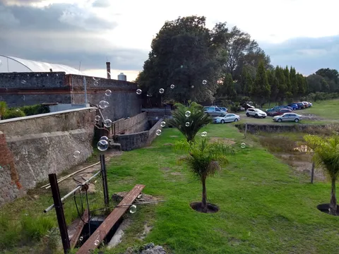 Hacienda Santa Elena image 6