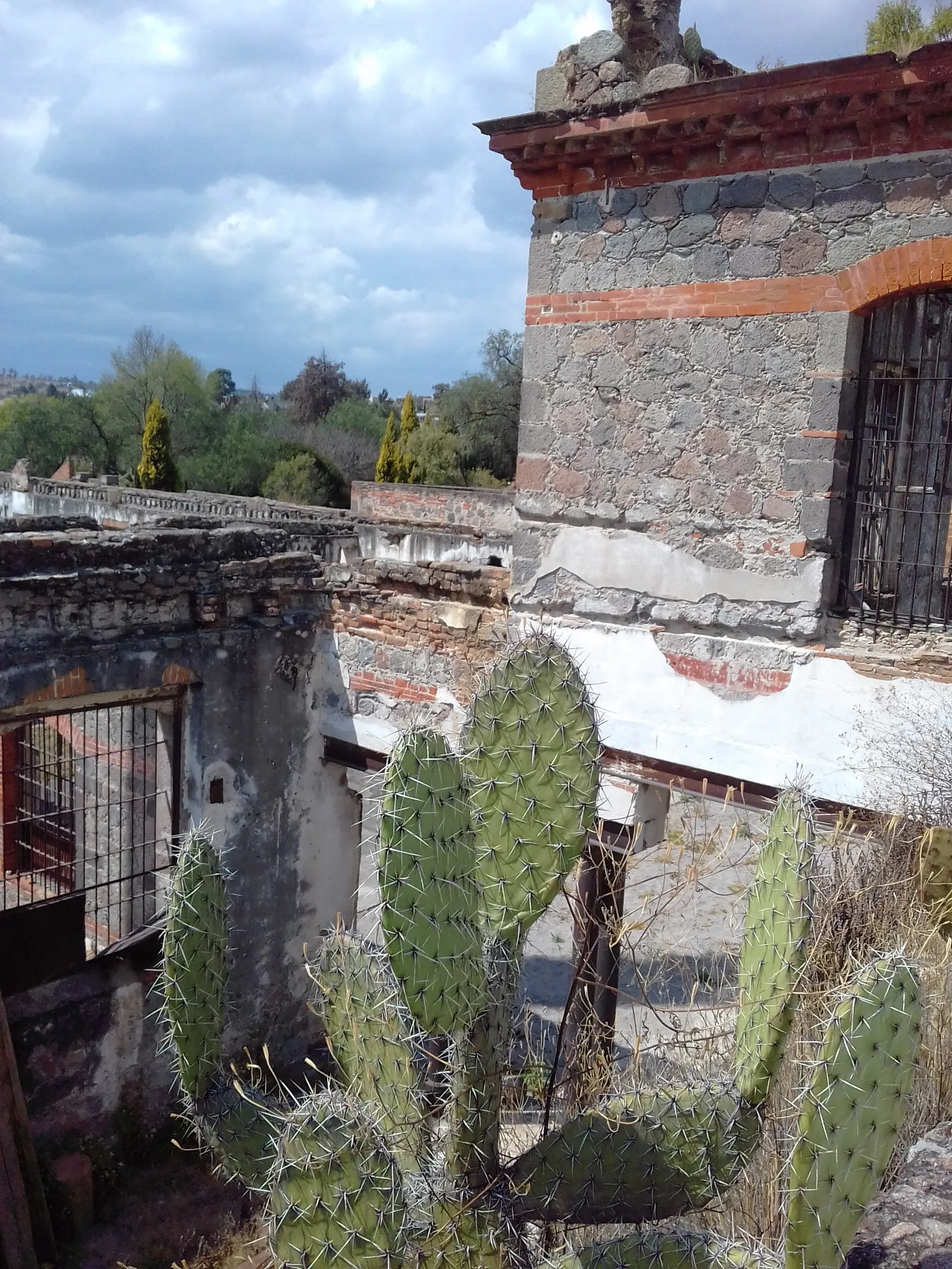 Hacienda Santa Elena image 10
