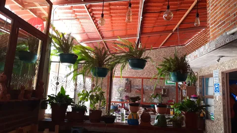 La terraza cocina tradicional image 1