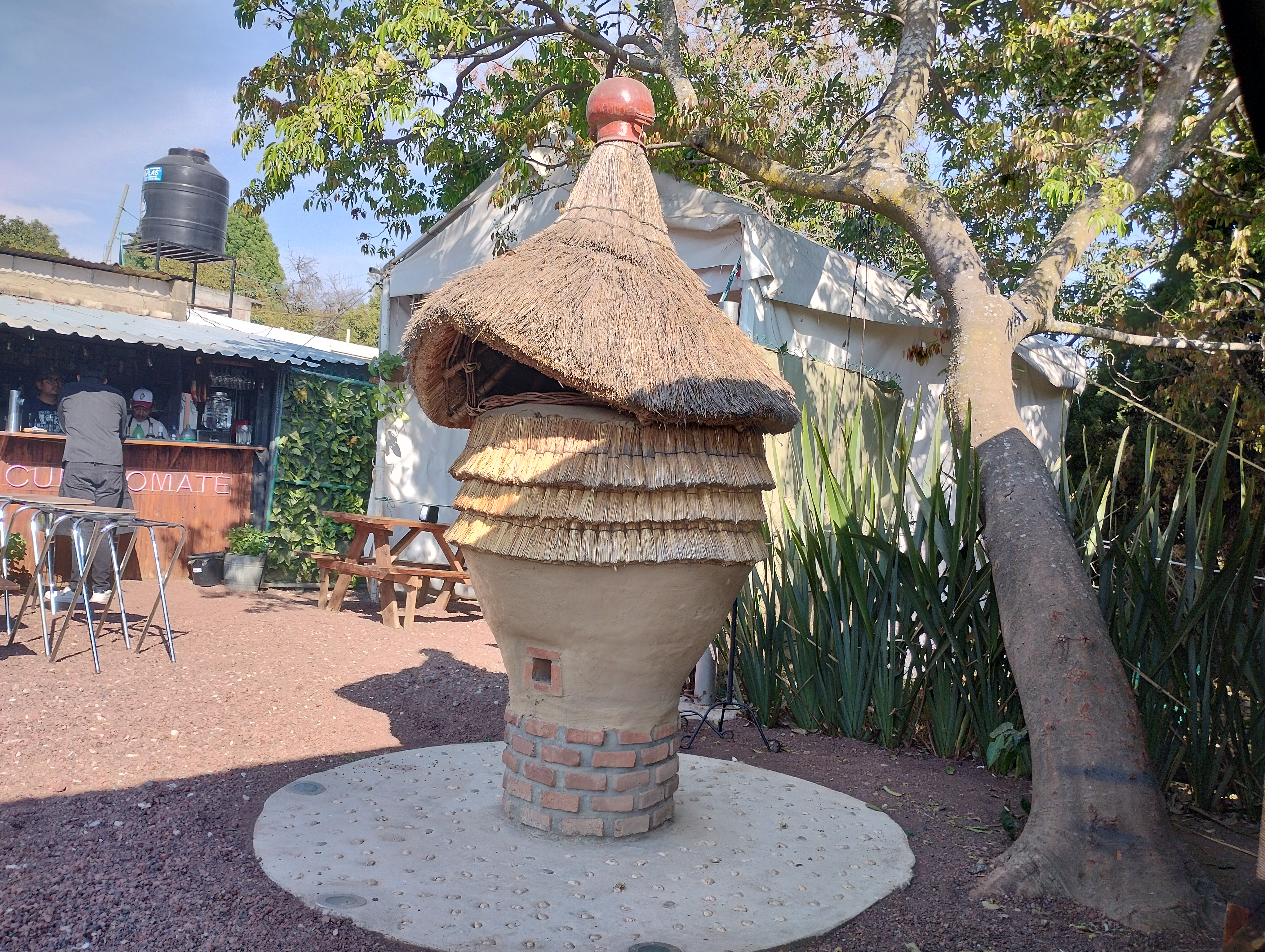 "Cuexcomate" image 3