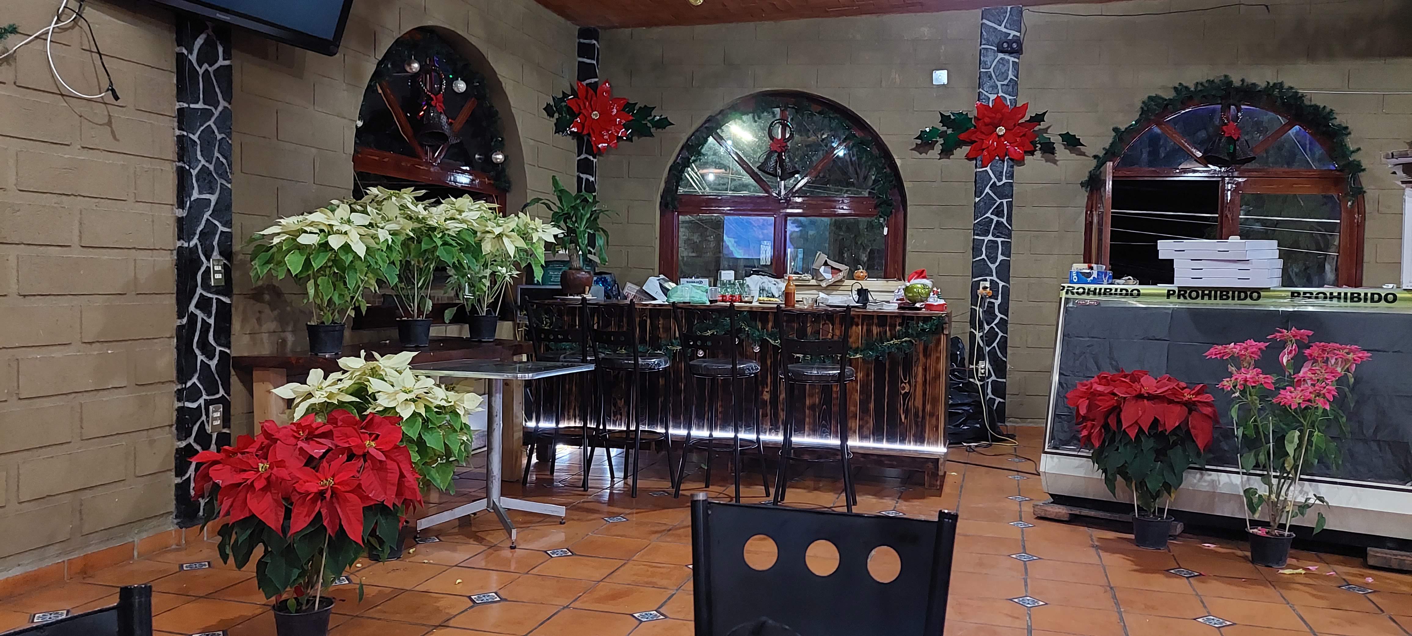 Pizzería "LOS ALTOS DE MORELOS" segunda planta image 1