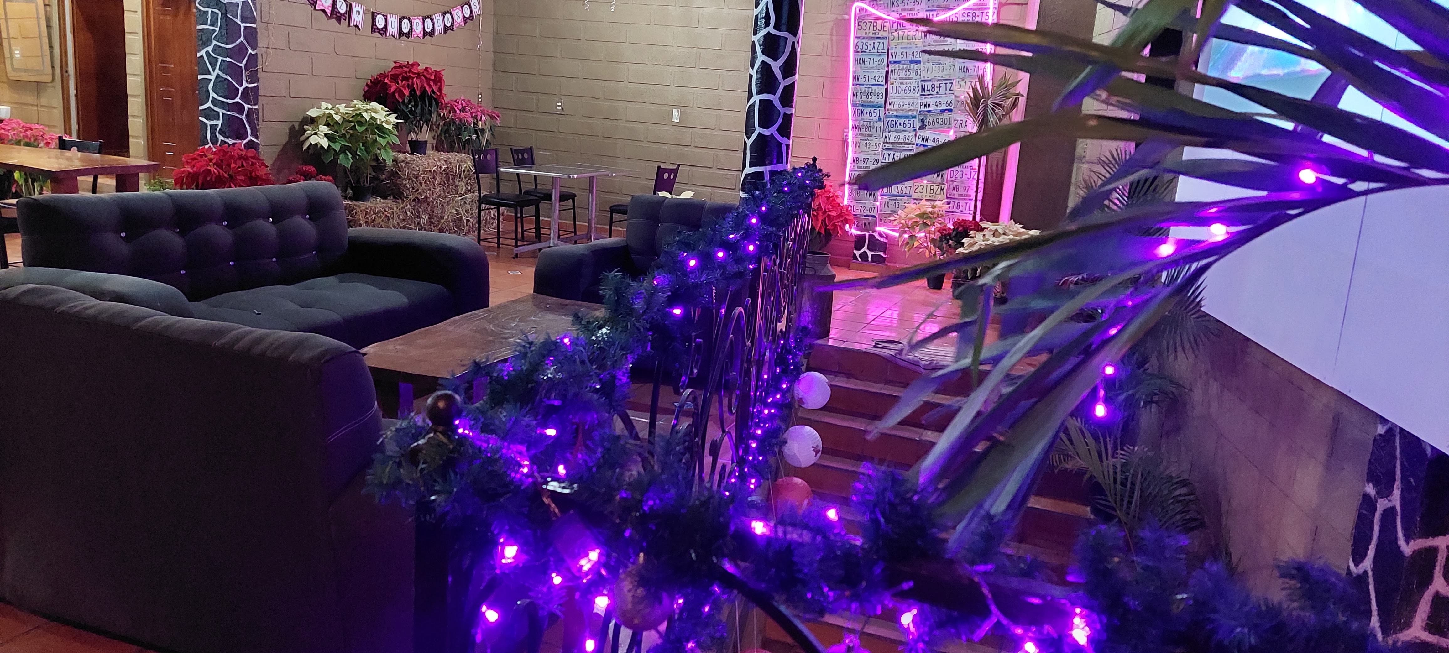 Pizzería "LOS ALTOS DE MORELOS" segunda planta image 6