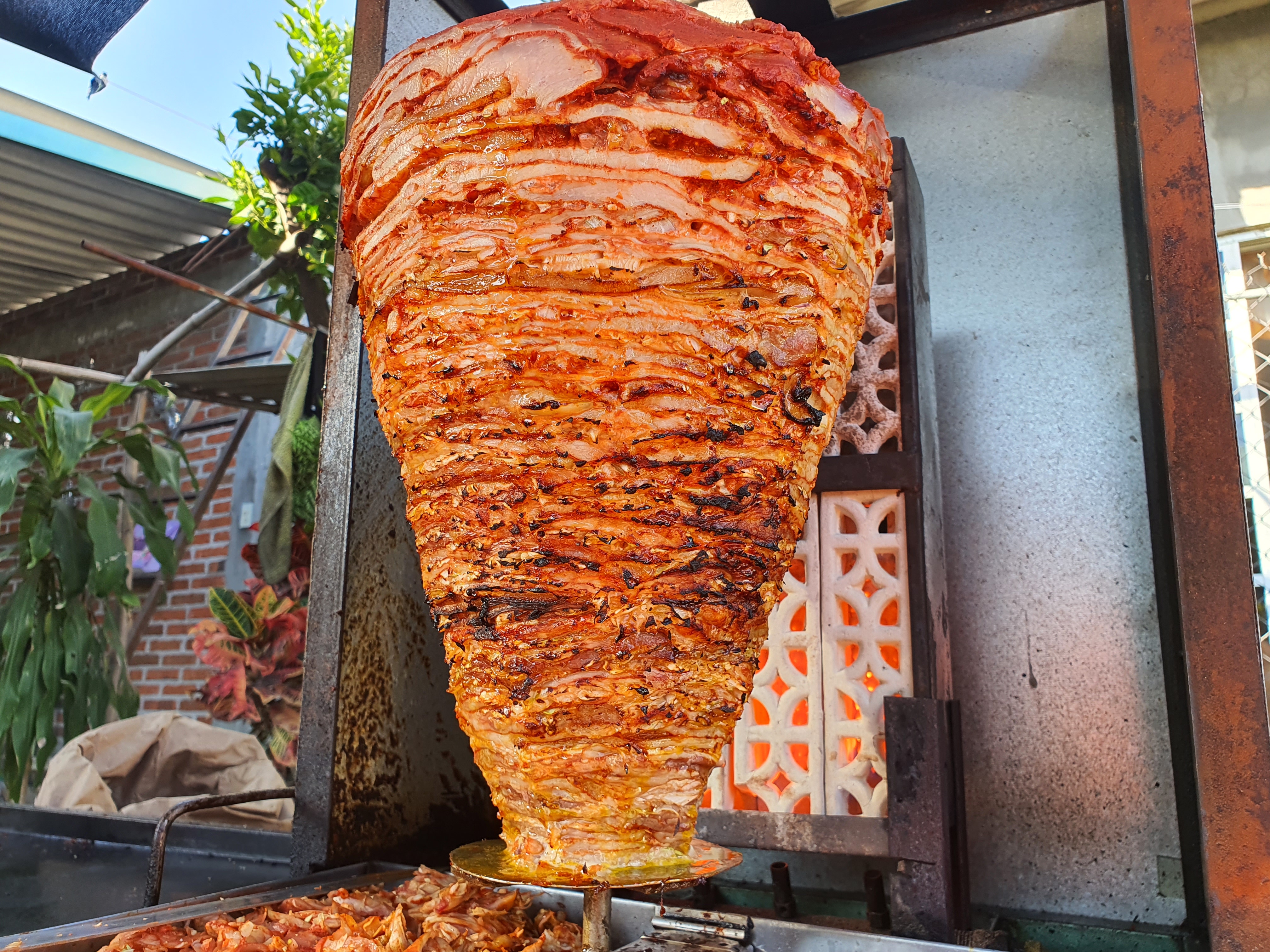 Tacos carranza image 3