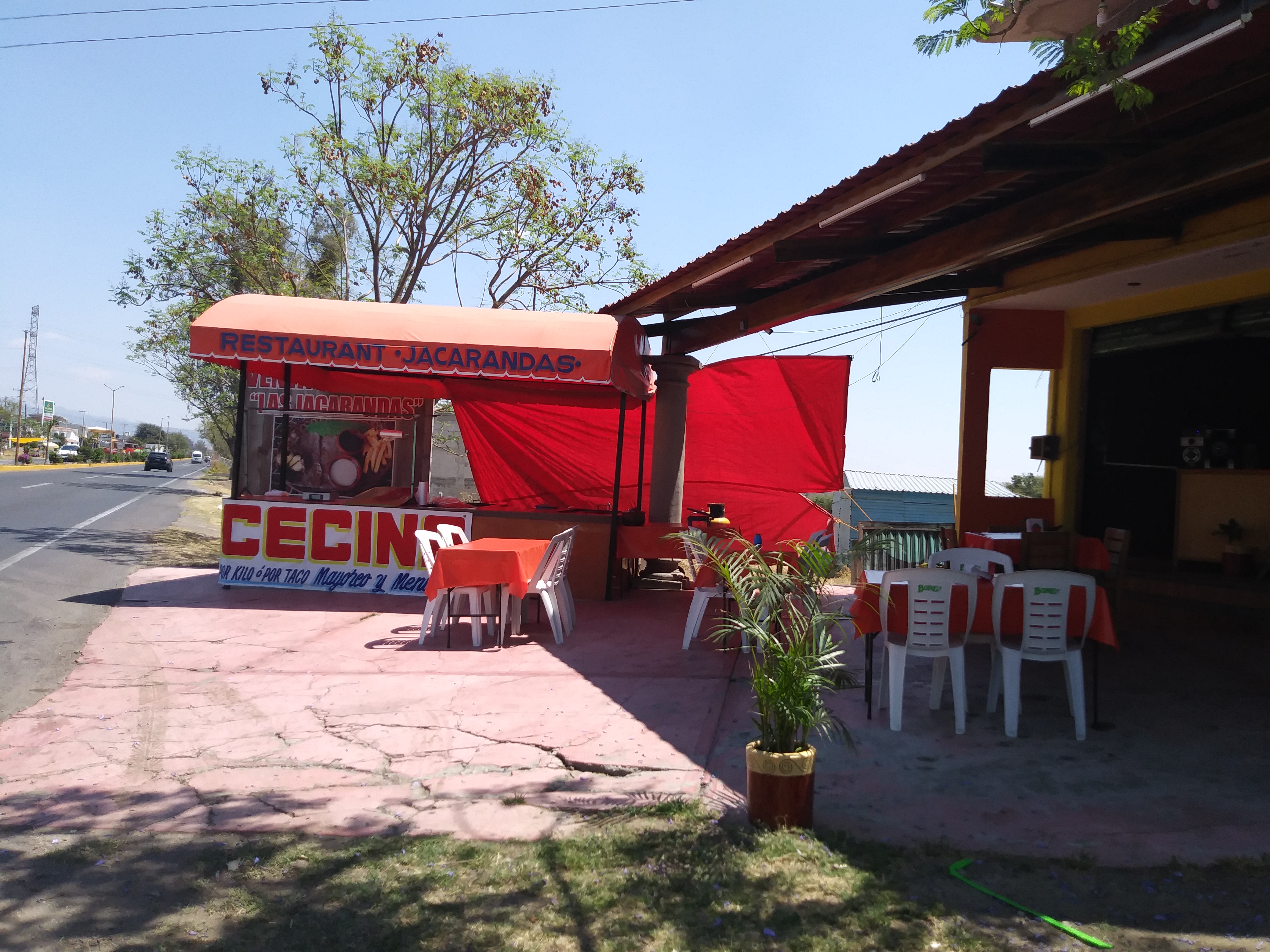 Restaurant Las Jacarandas image 1