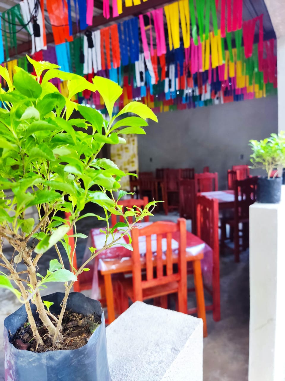 taquería Morales image 5