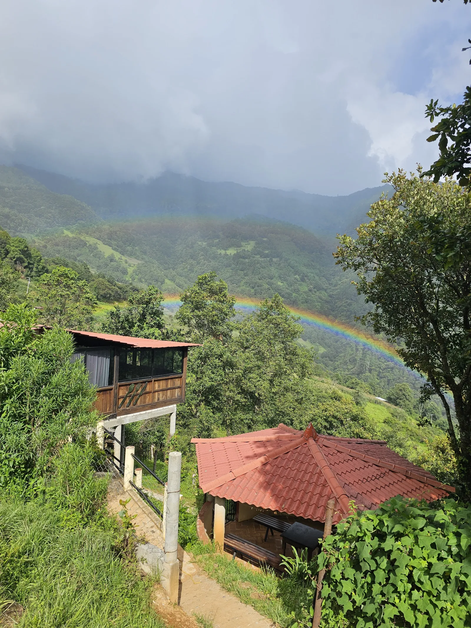 Truchas arcoiris image 3