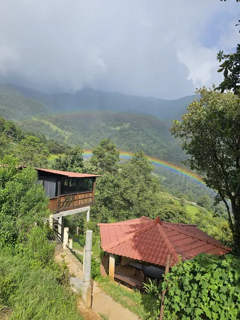 Truchas arcoiris image 3