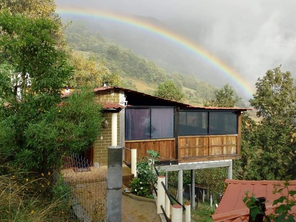 Truchas arcoiris image 4