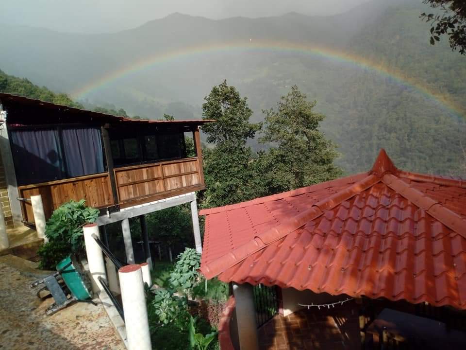 Truchas arcoiris image 5