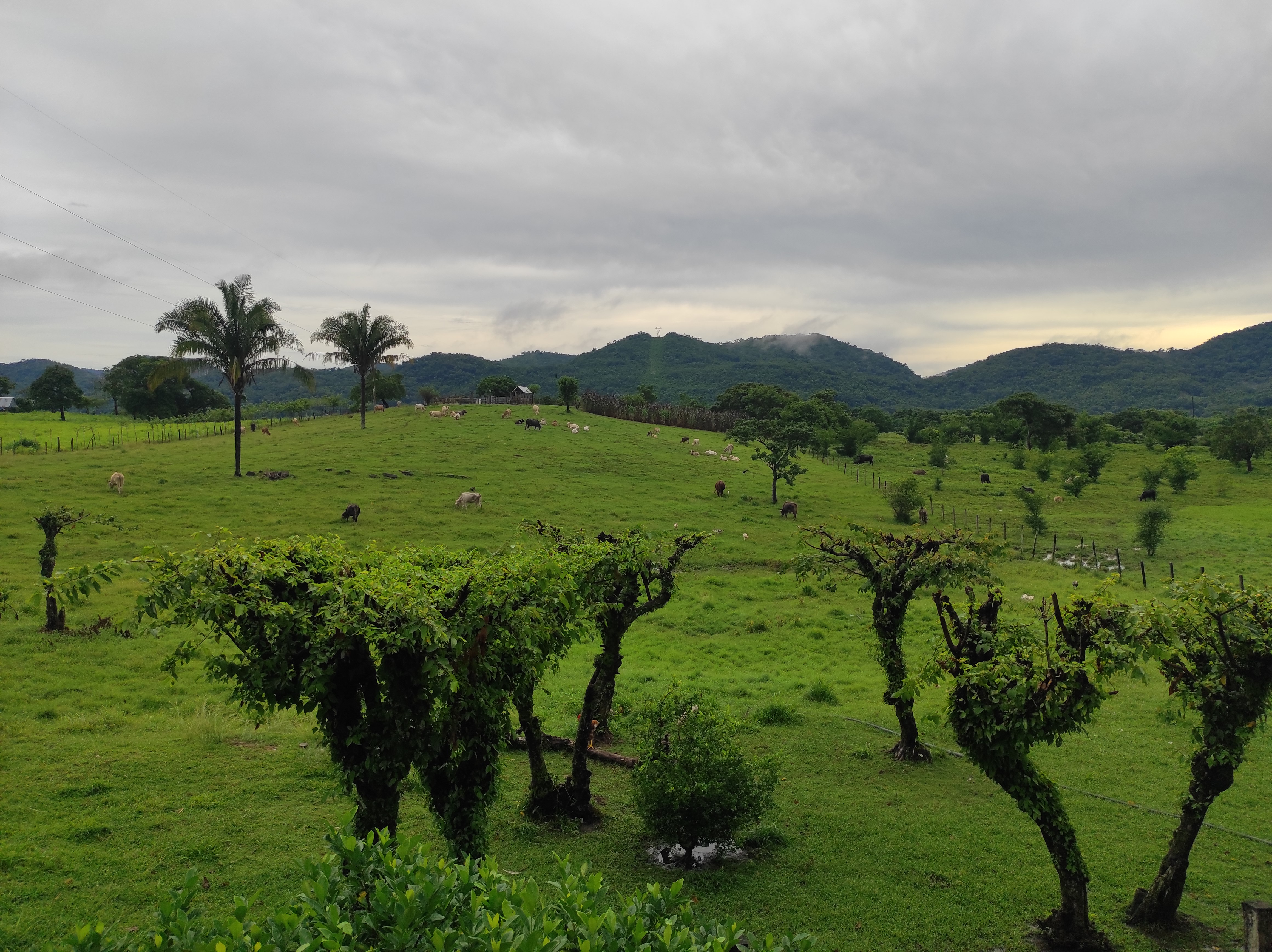 Restaurante El Rancho image 3