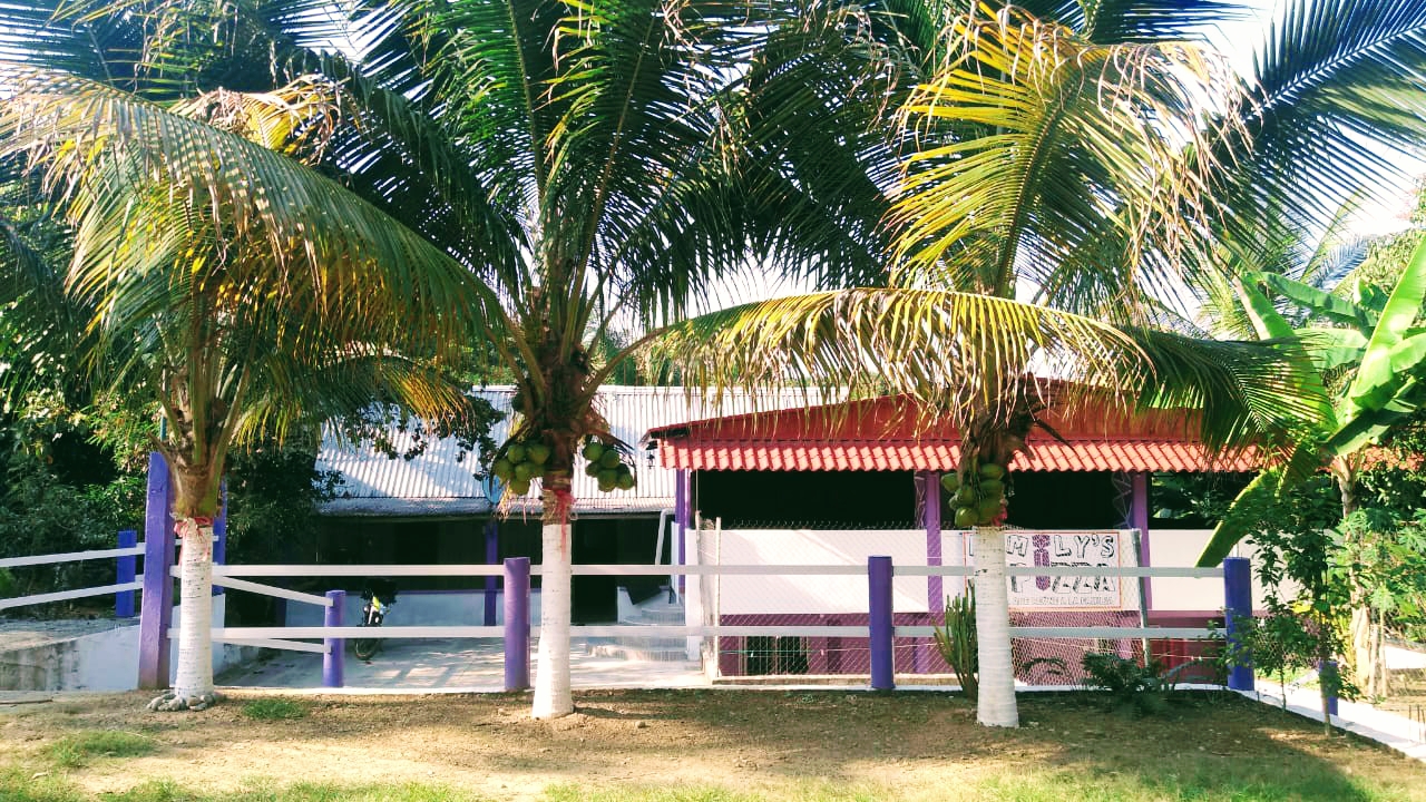 FAMILYS PIZZA image 3