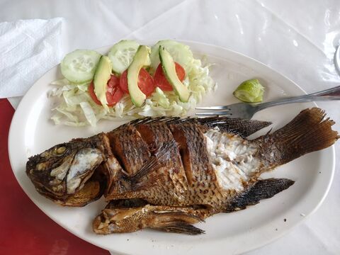 Restaurante EL EDEN MAZATECO image 1