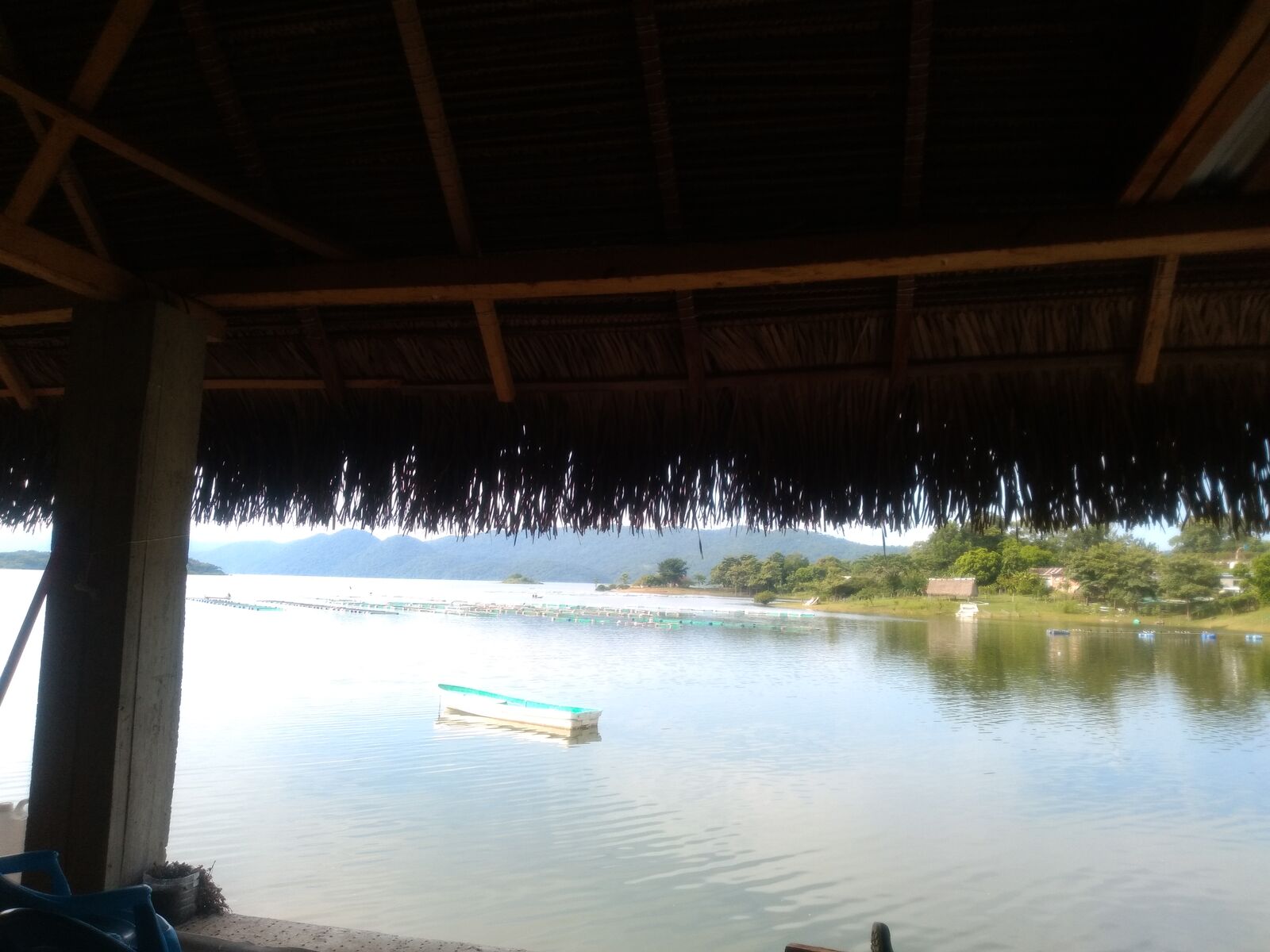 Restaurante EL EDEN MAZATECO image 6
