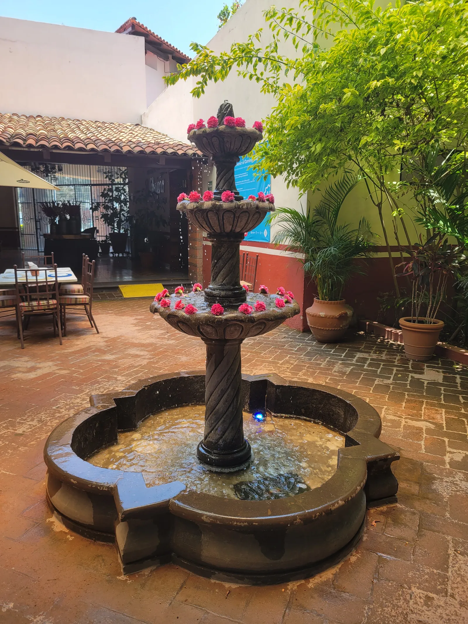 El Abajeño image 7