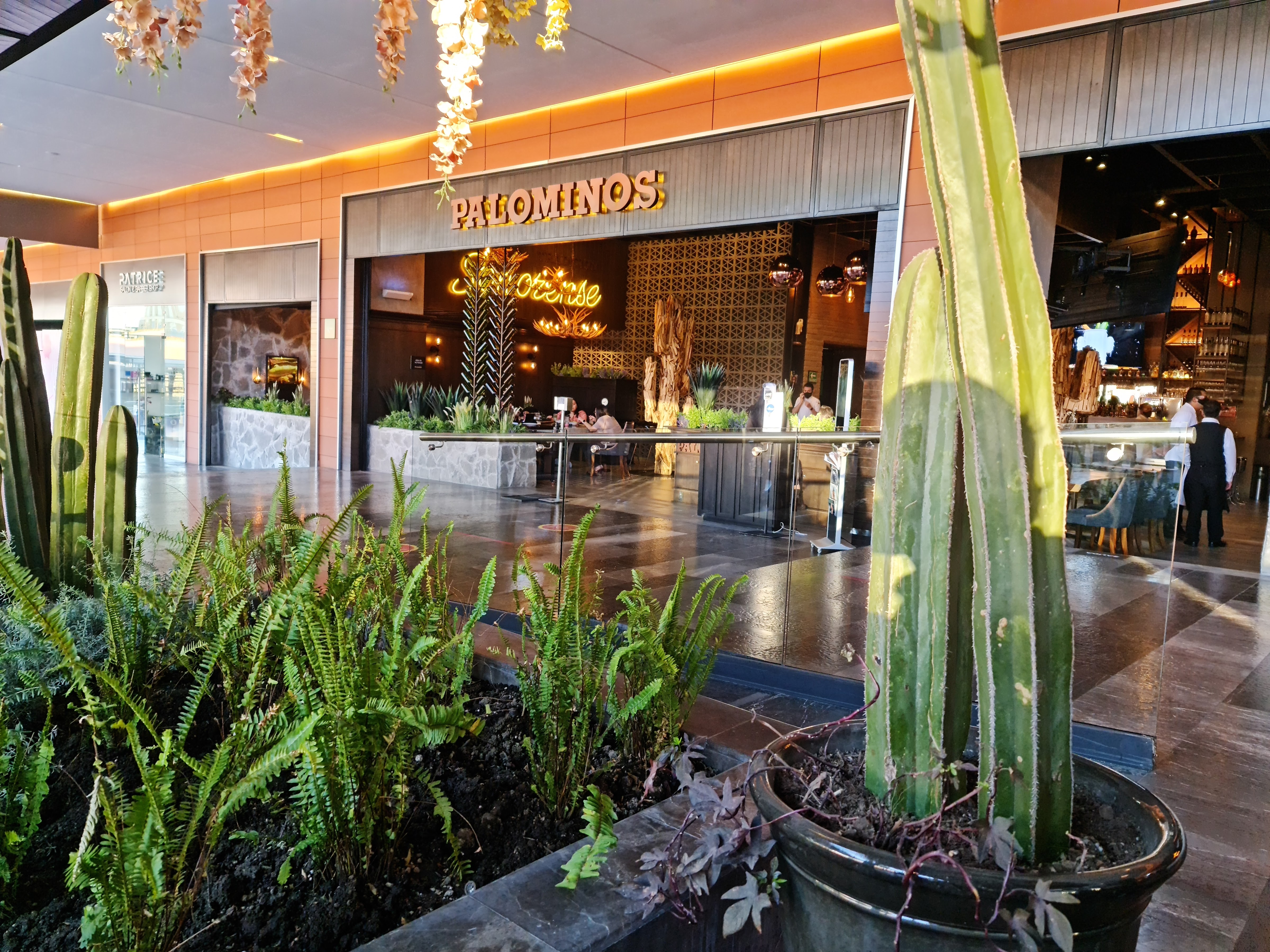 Palominos - Punto Sur image 1