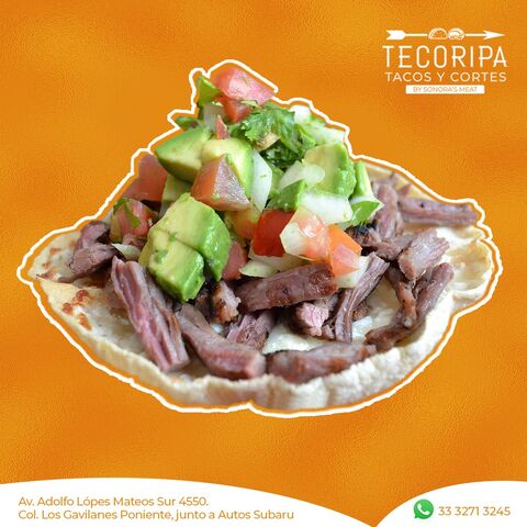 Tecoripa image 1