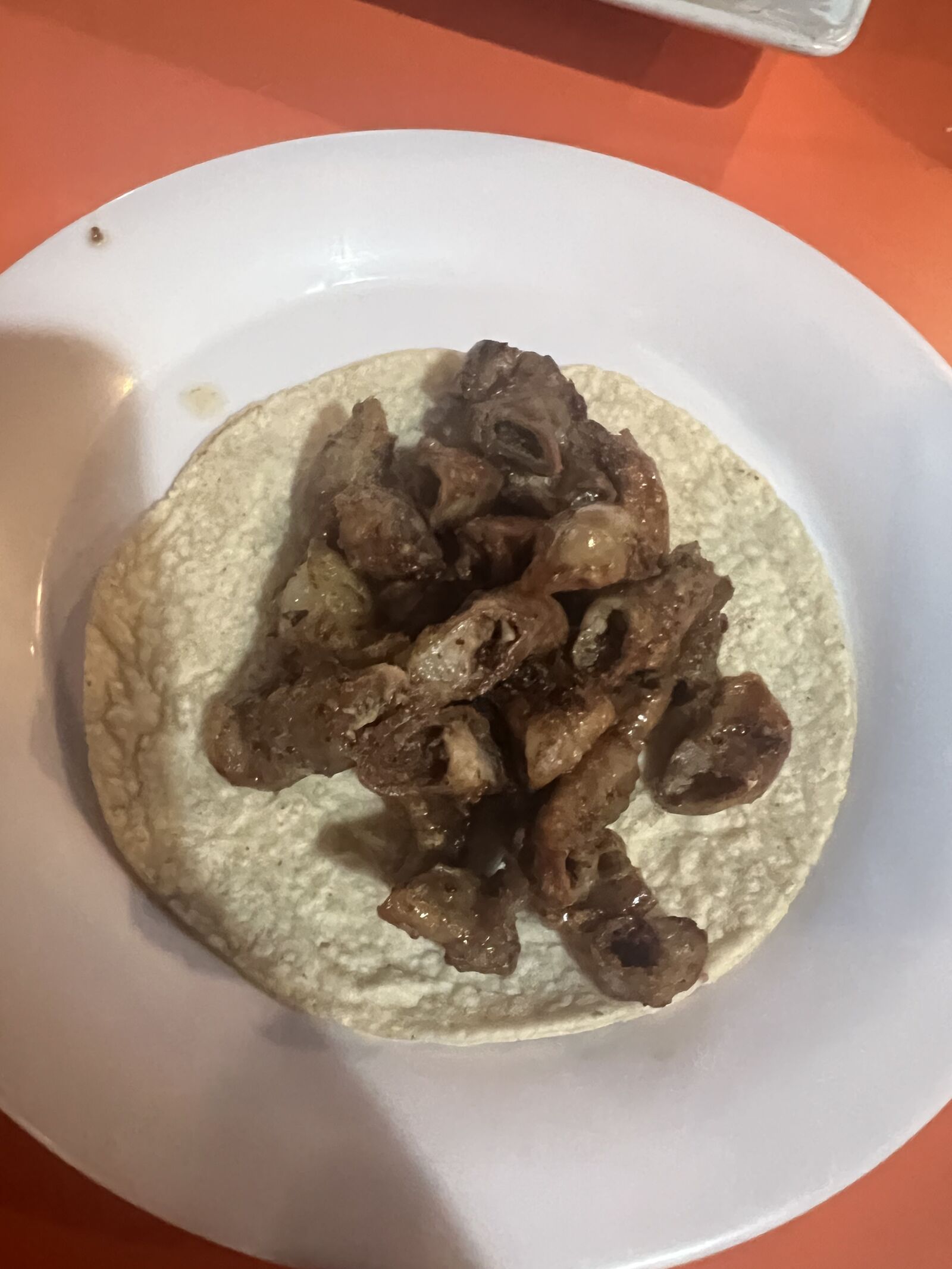 Tecoripa image 10
