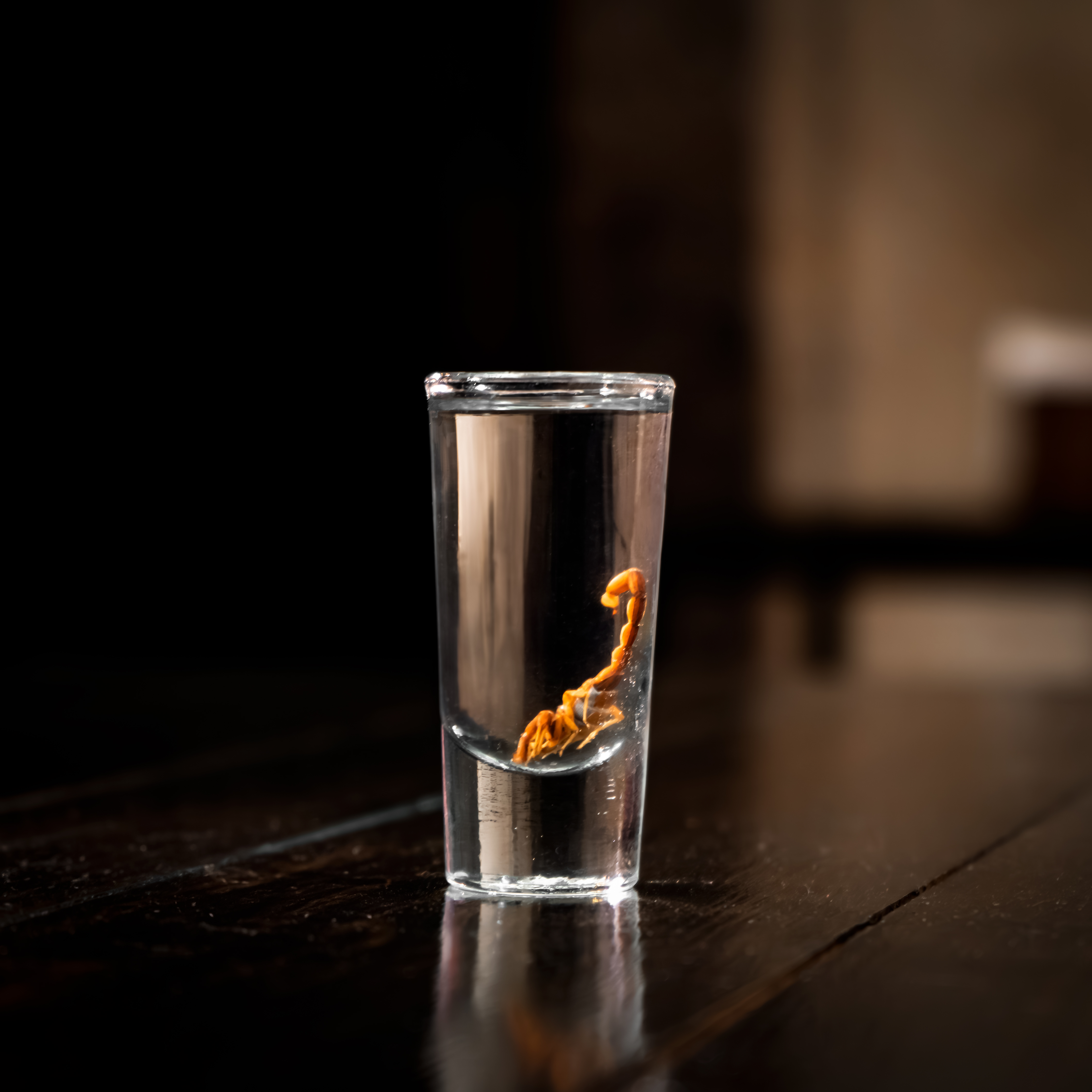 CASA REGINA Cafe Restaurant image 7