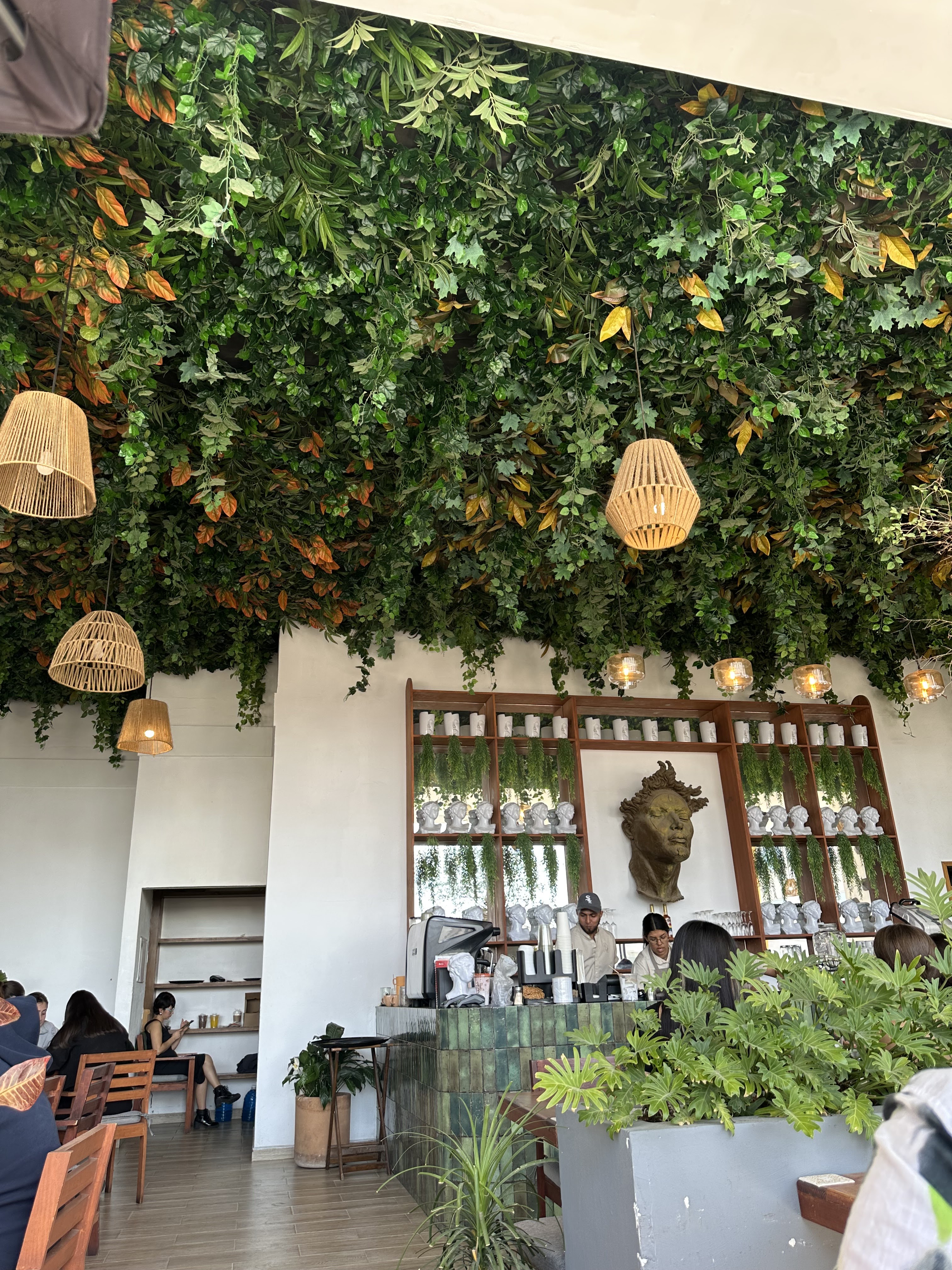 Pata de Elefante Sur image 5