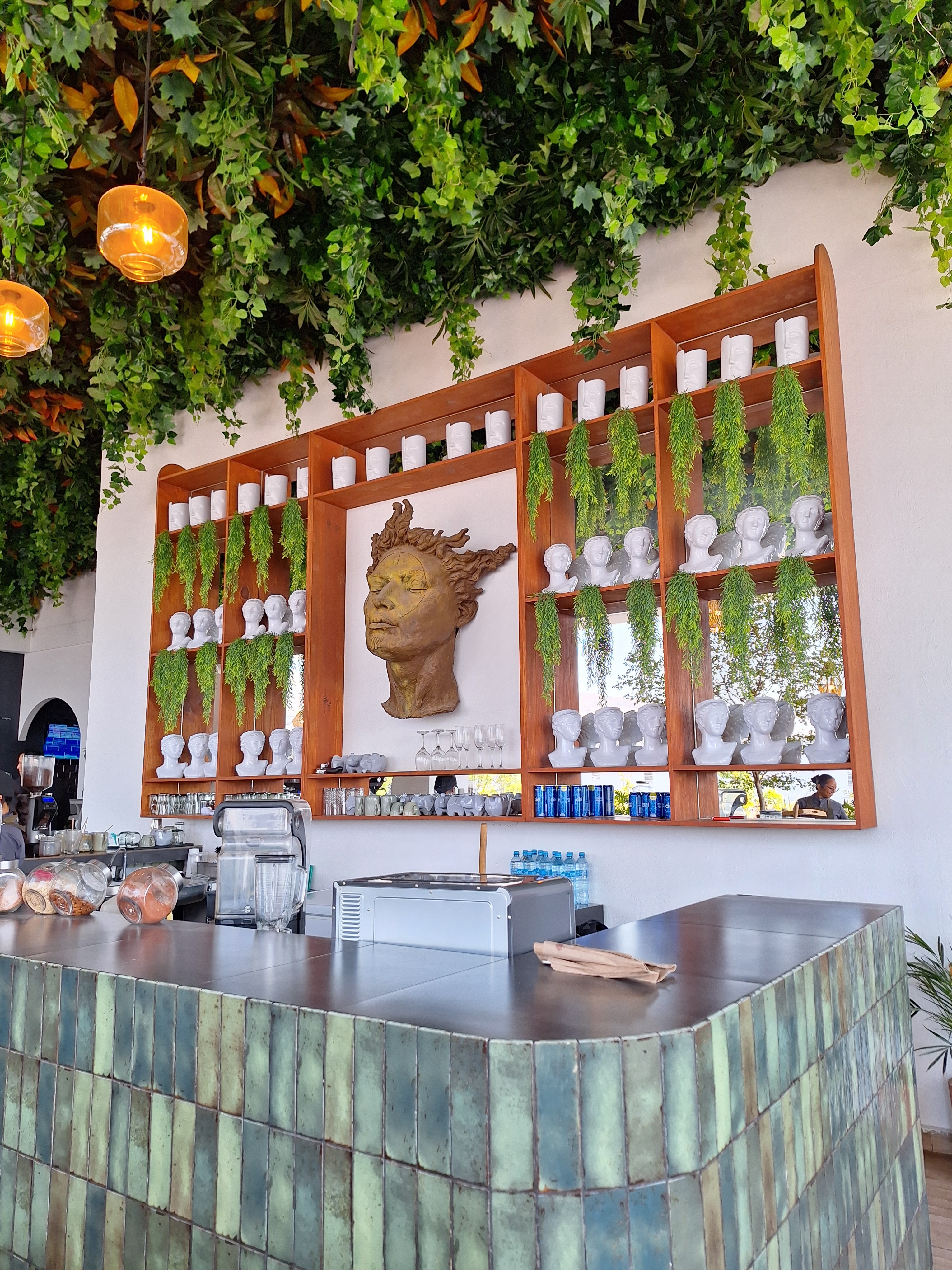 Pata de Elefante Sur image 8