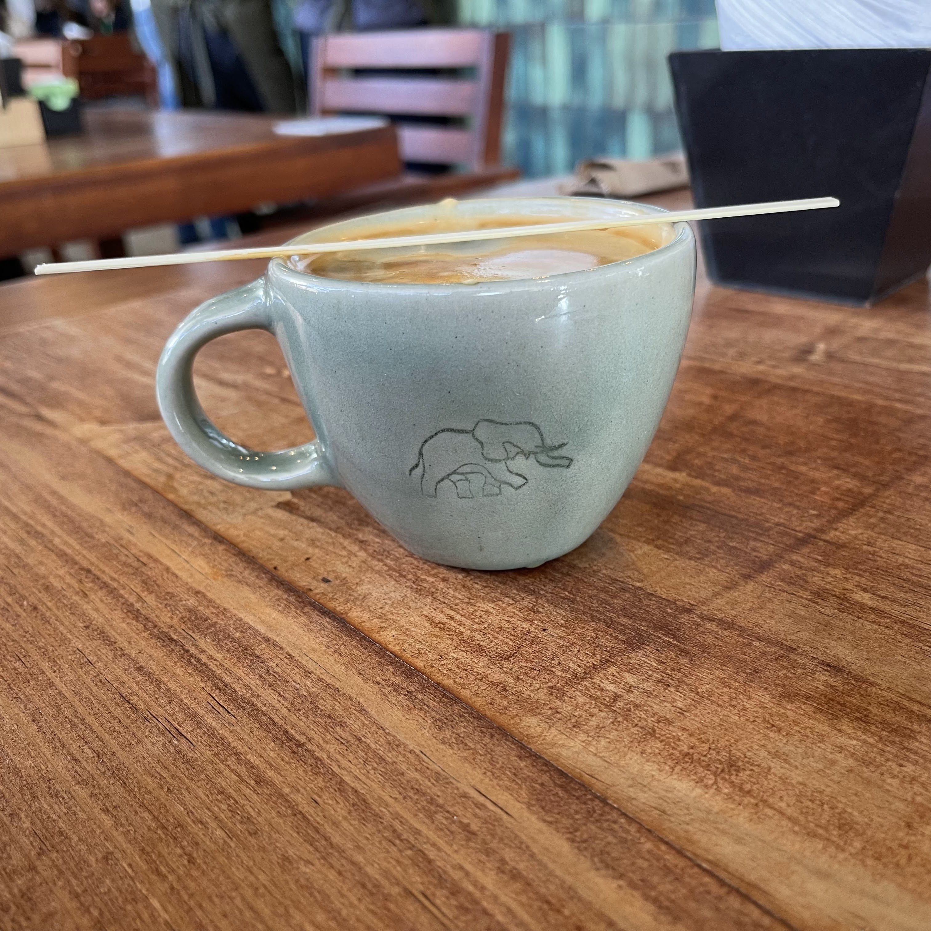 Pata de Elefante Sur image 9