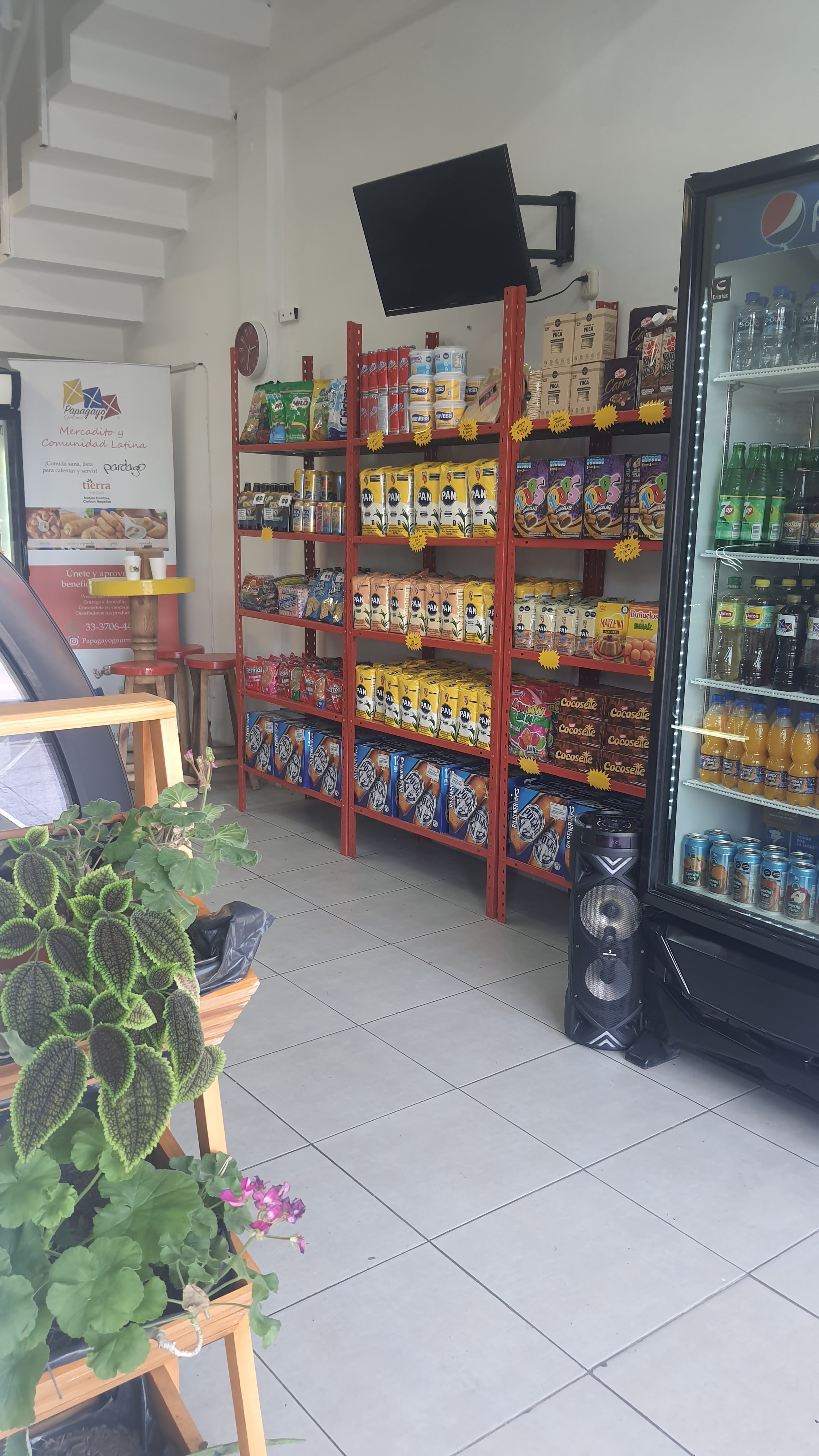 PAPAGAYO GOURMET Mercadito y Comunidad Latina image 9