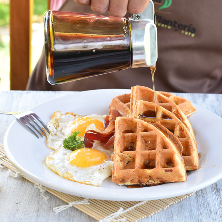 La Plantería Vivero Café image 2