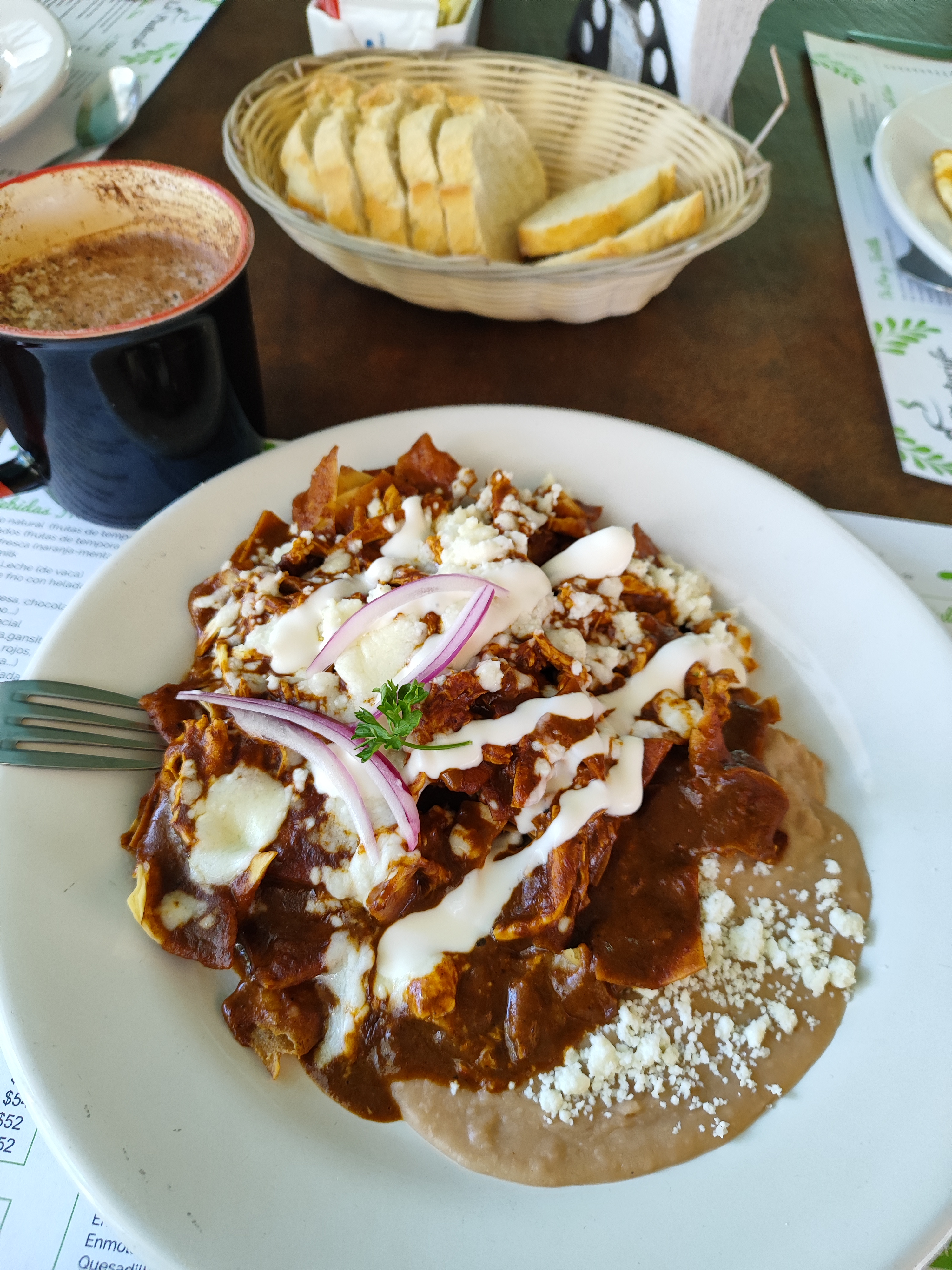 La Plantería Vivero Café image 3