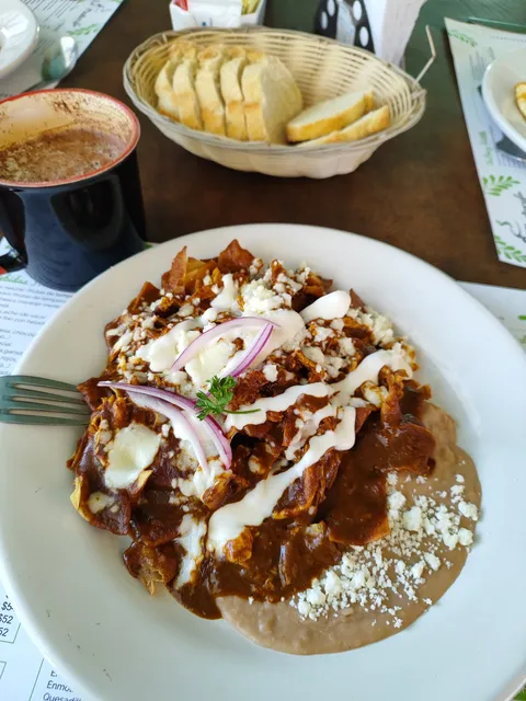 La Plantería Vivero Café image 3