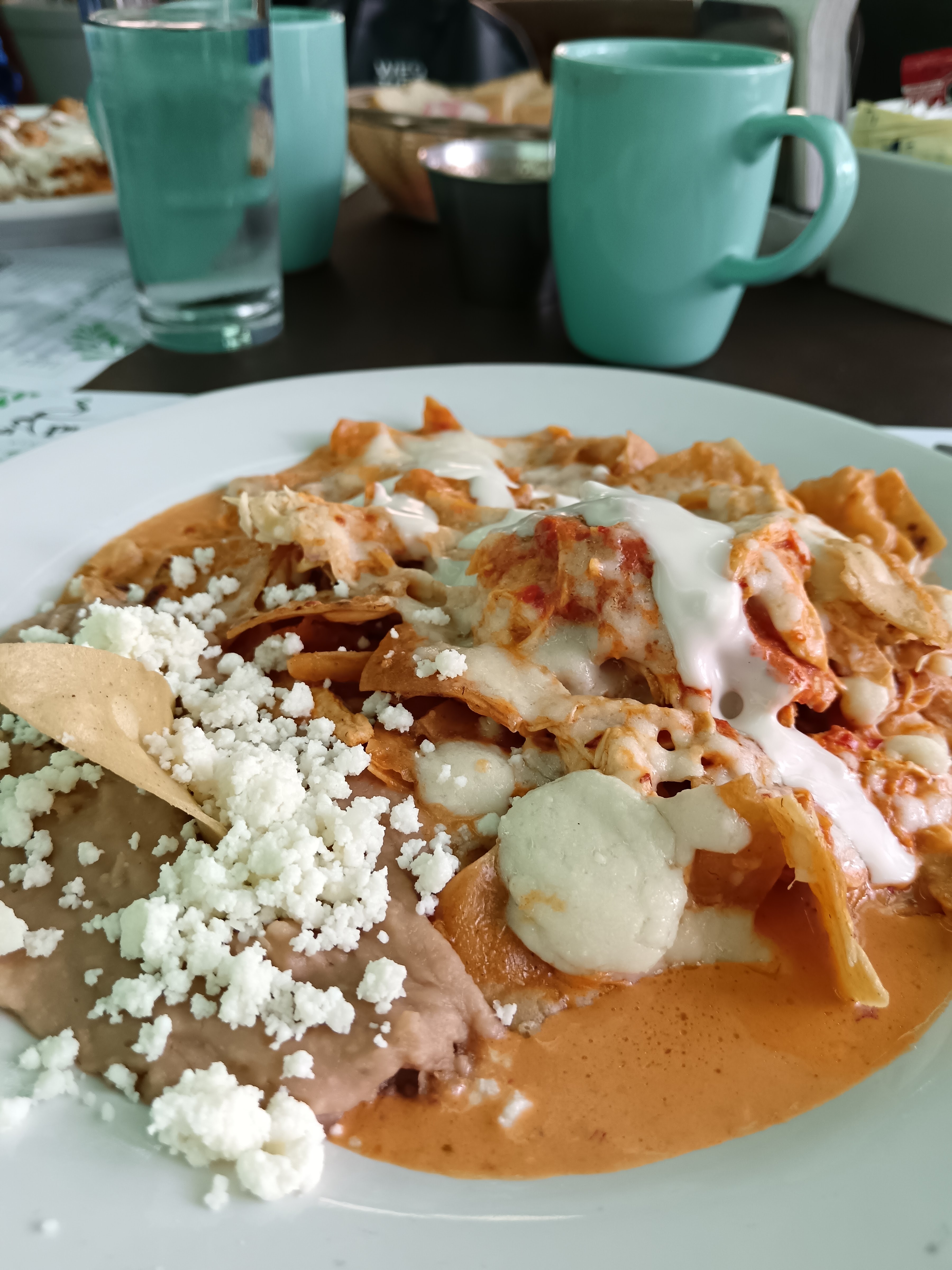 La Plantería Vivero Café image 4