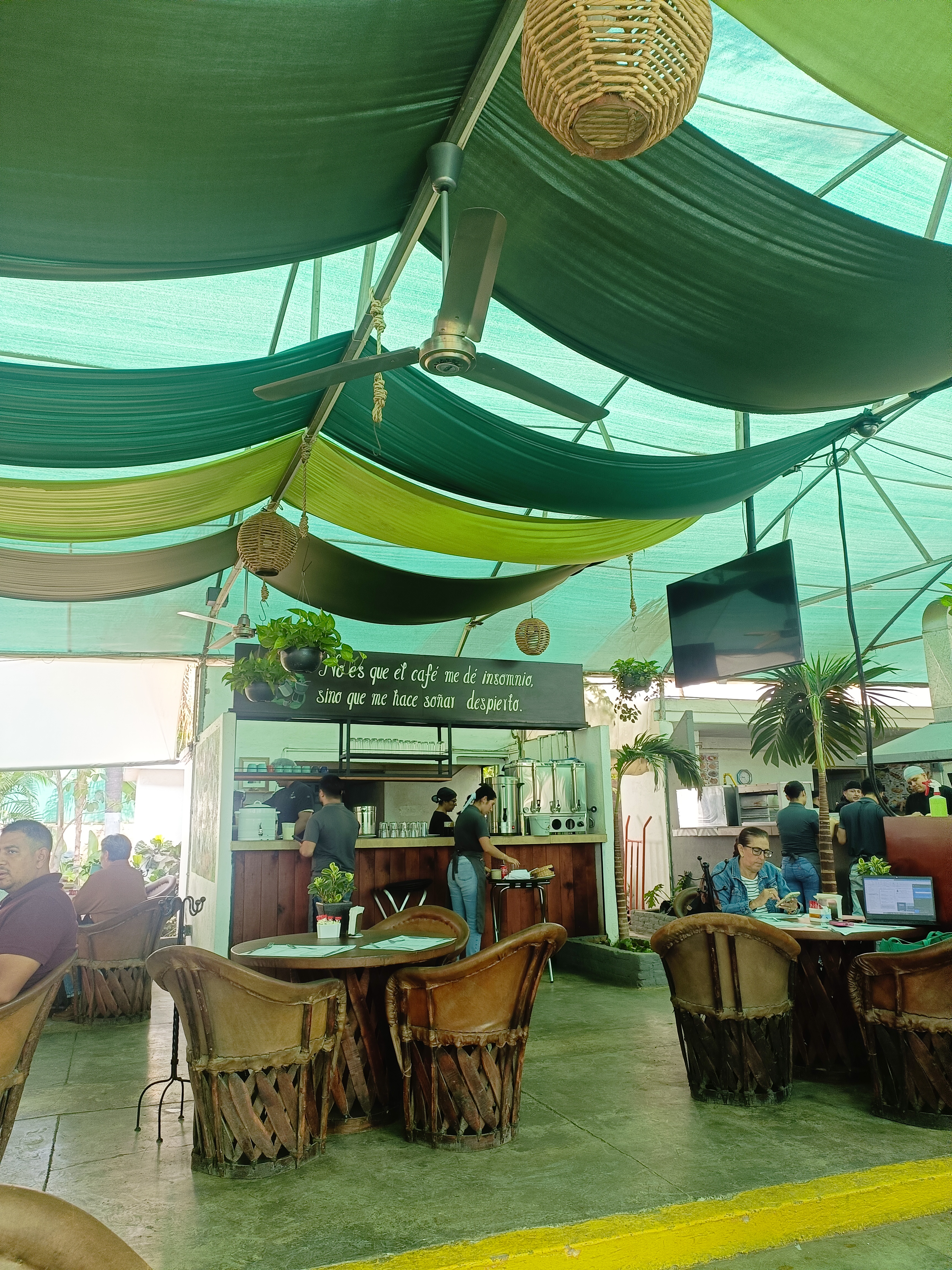 La Plantería Vivero Café image 5