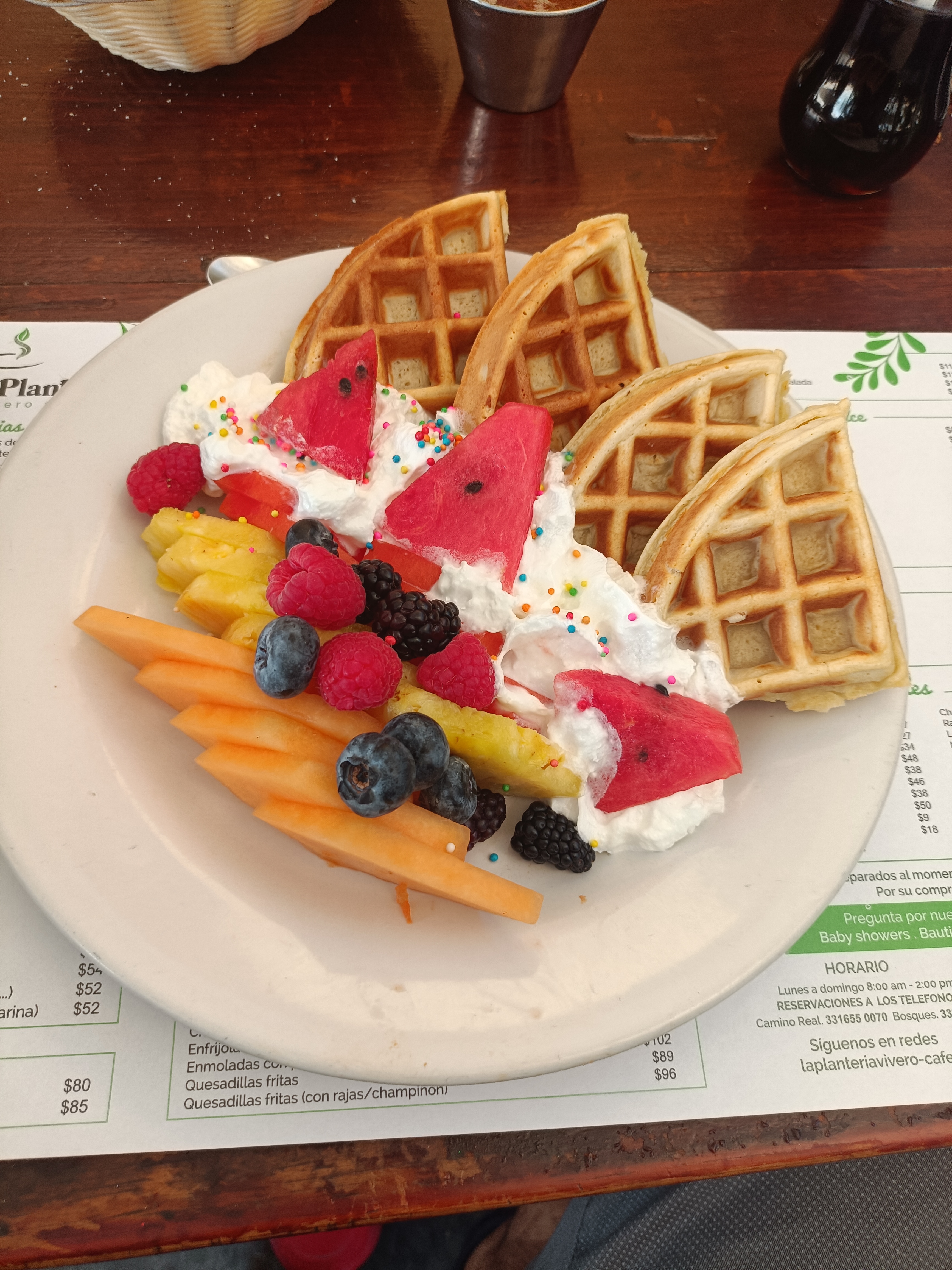 La Plantería Vivero Café image 9