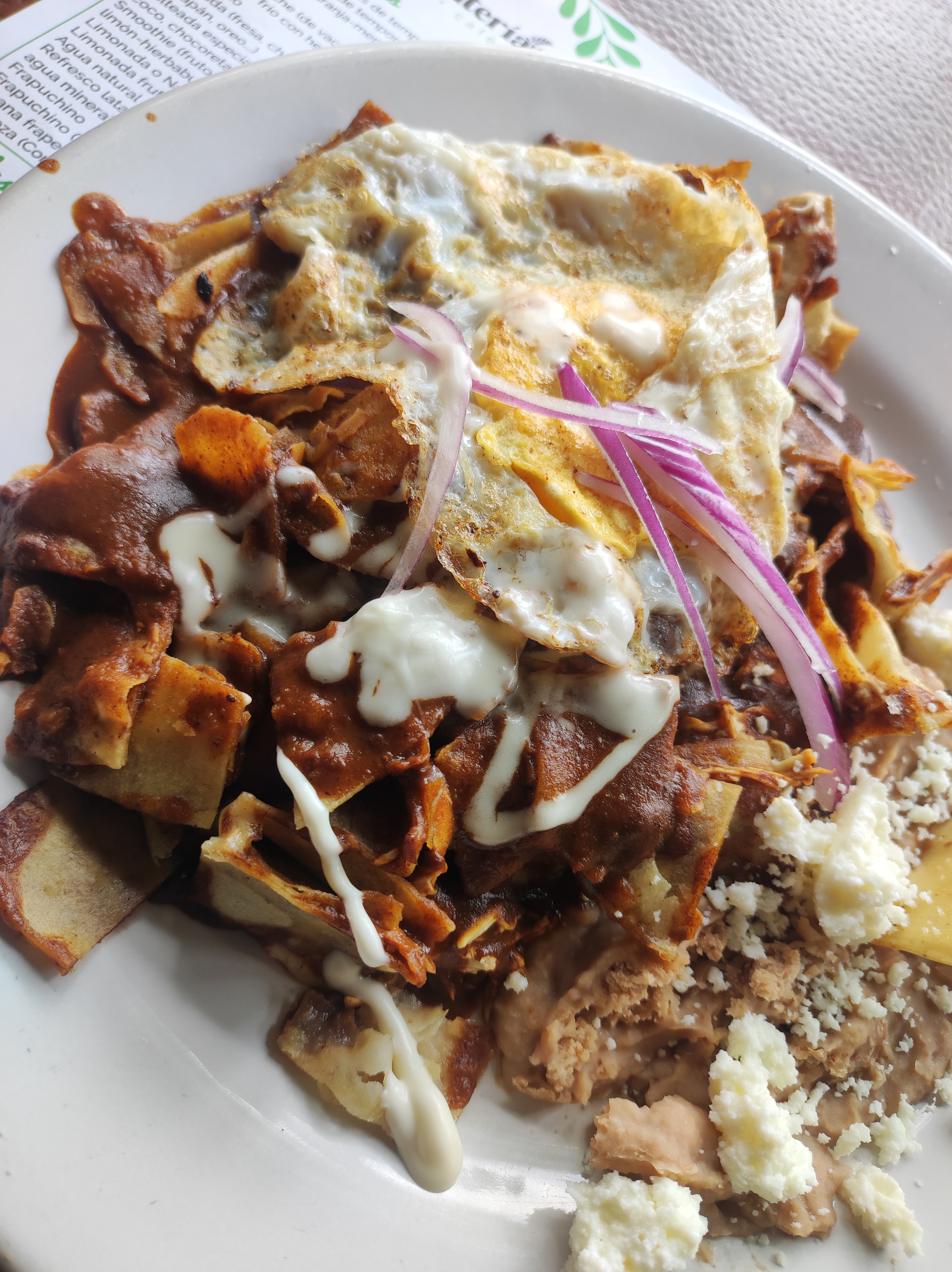 La Plantería Vivero Café image 10