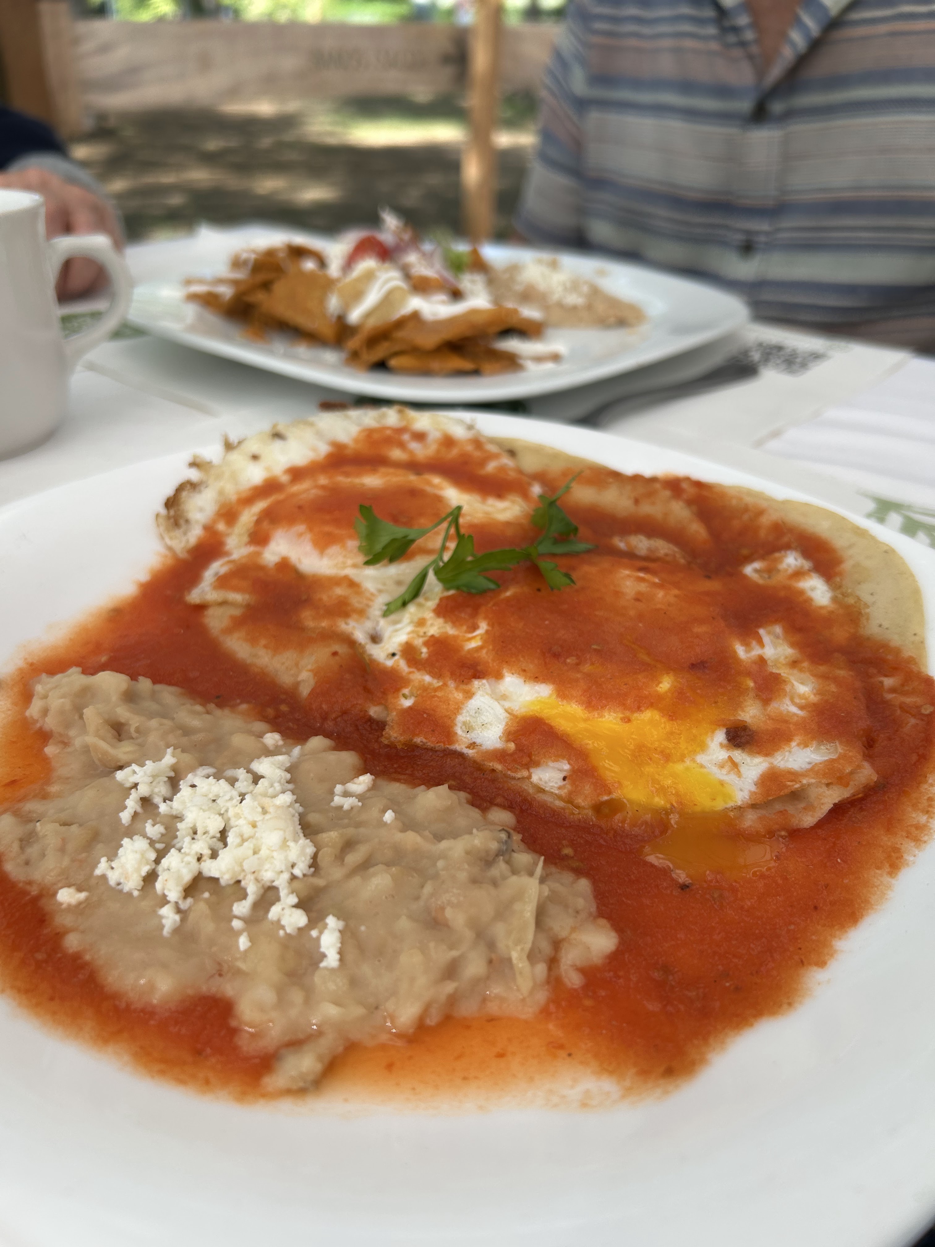 Verde Madera Restaurante image 7